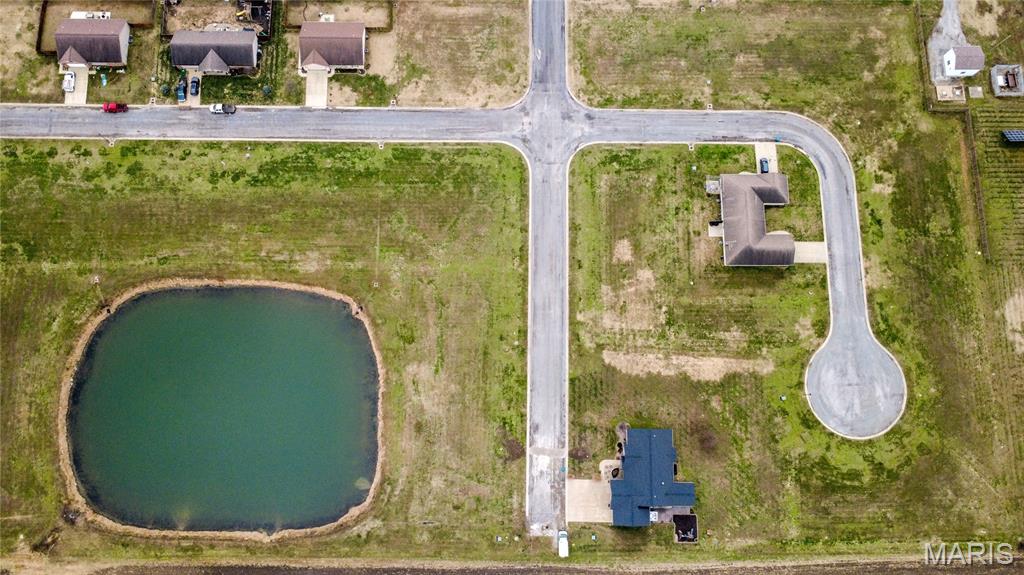 0 Katy Street St. Libory, IL 62282 - Photo 6 of 21