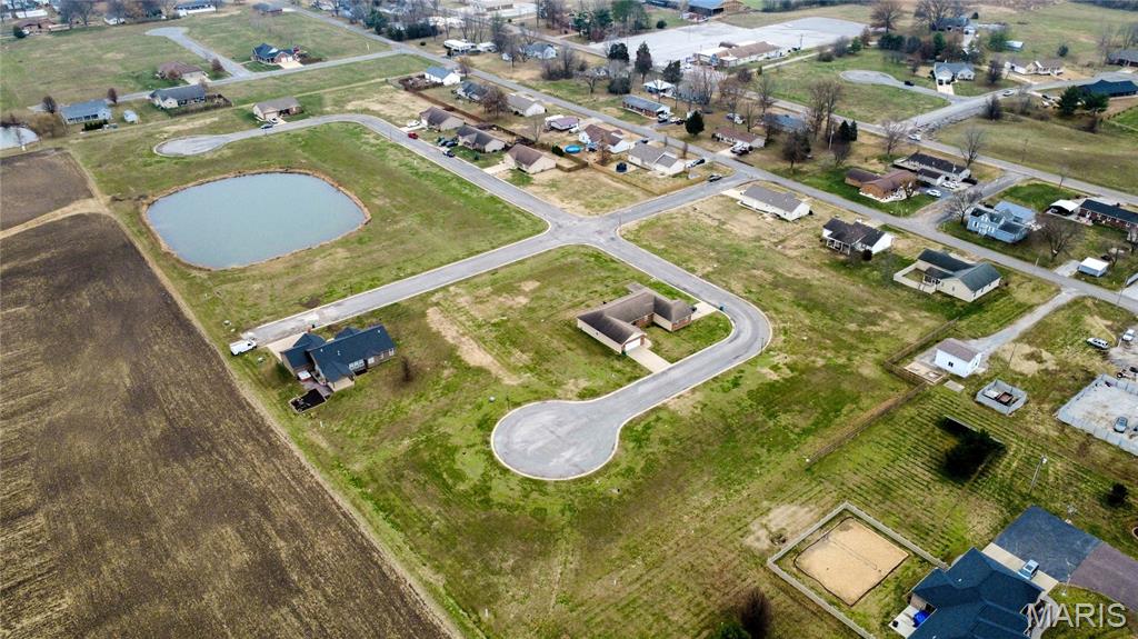 0 Katy Street St. Libory, IL 62282 - Photo 8 of 21