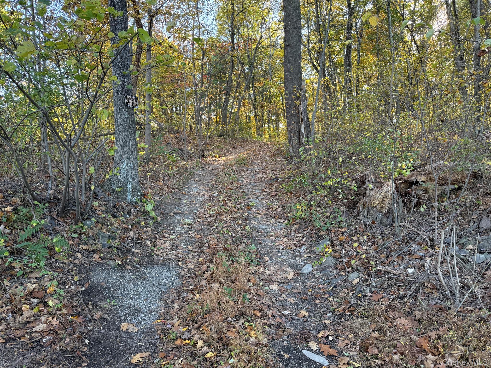 36 Fallkill Road Hyde Park, NY 12538 - Photo 13 of 15 a view of a forest with trees