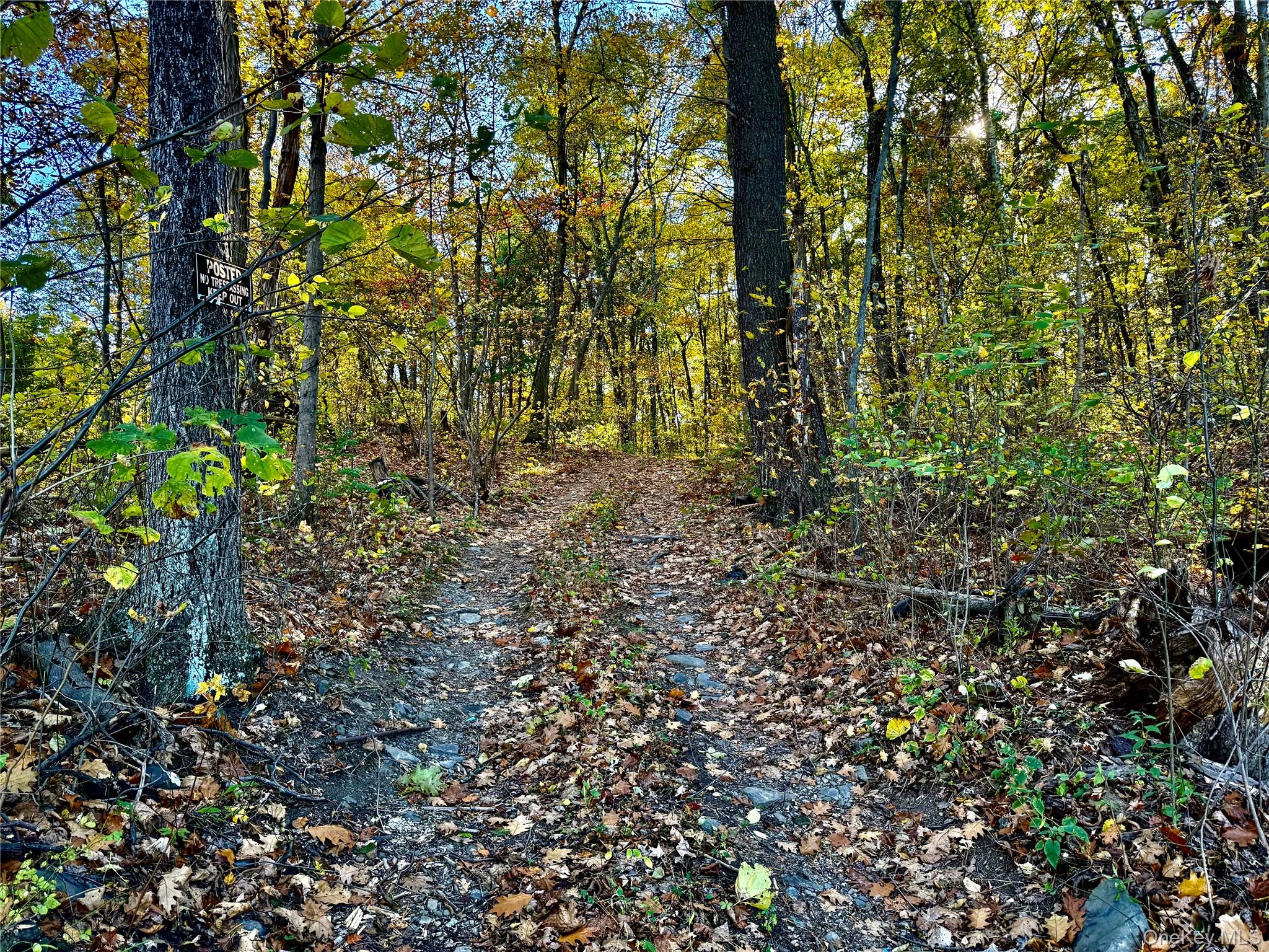 36 Fallkill Road Hyde Park, NY 12538 - Photo 2 of 15 a view of a yard with a tree
