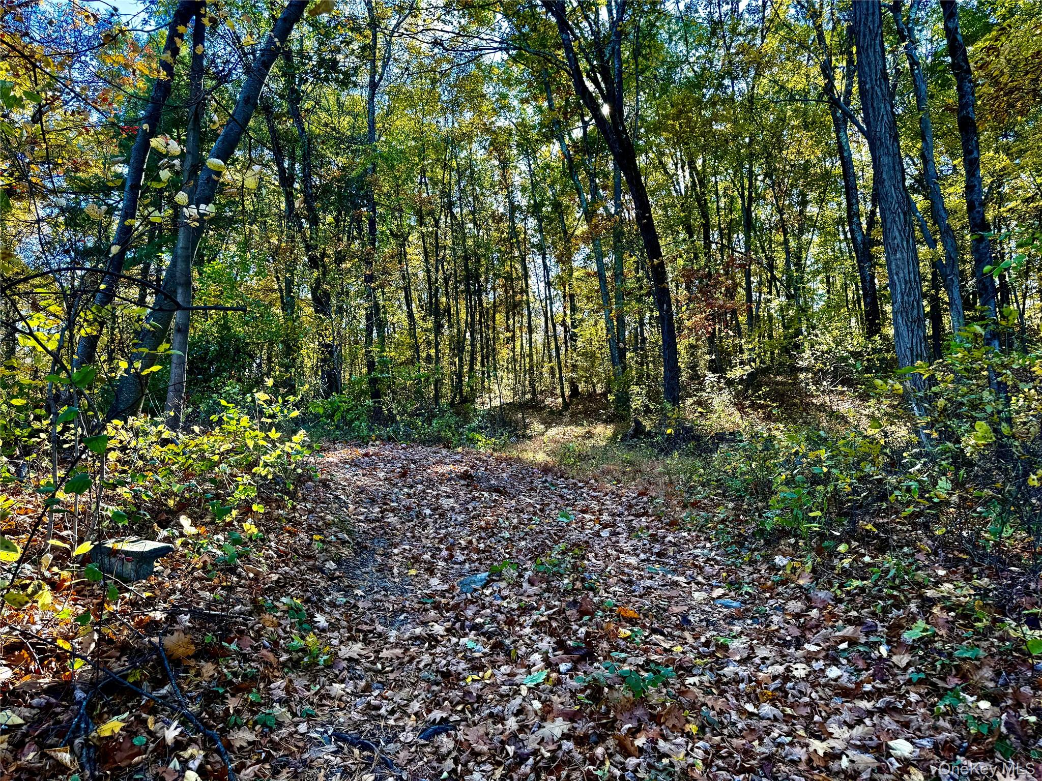 36 Fallkill Road Hyde Park, NY 12538 - Photo 3 of 15 a view of outdoor space and trees