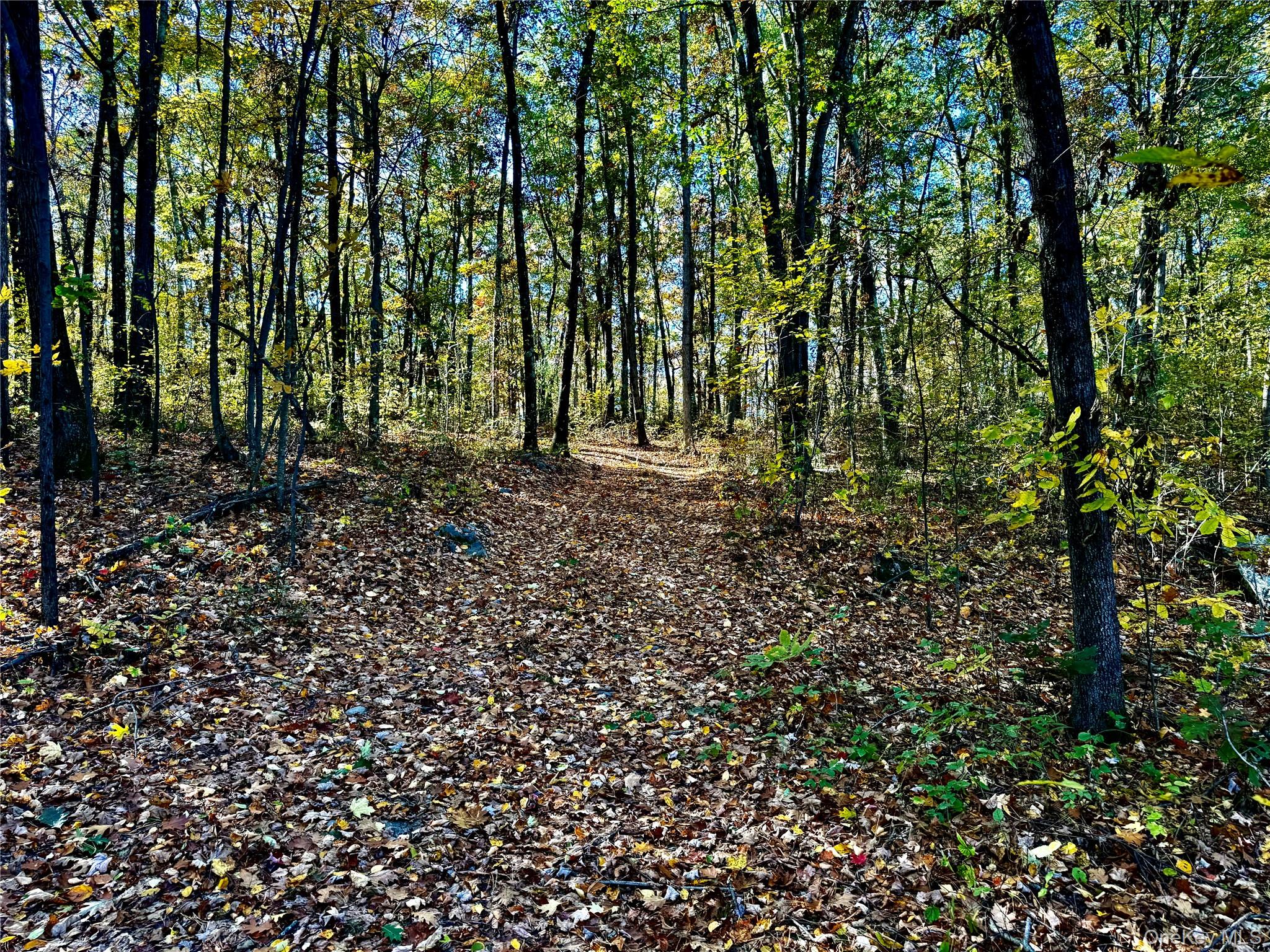 36 Fallkill Road Hyde Park, NY 12538 - Photo 4 of 15 a view of a large yard with lots of green space