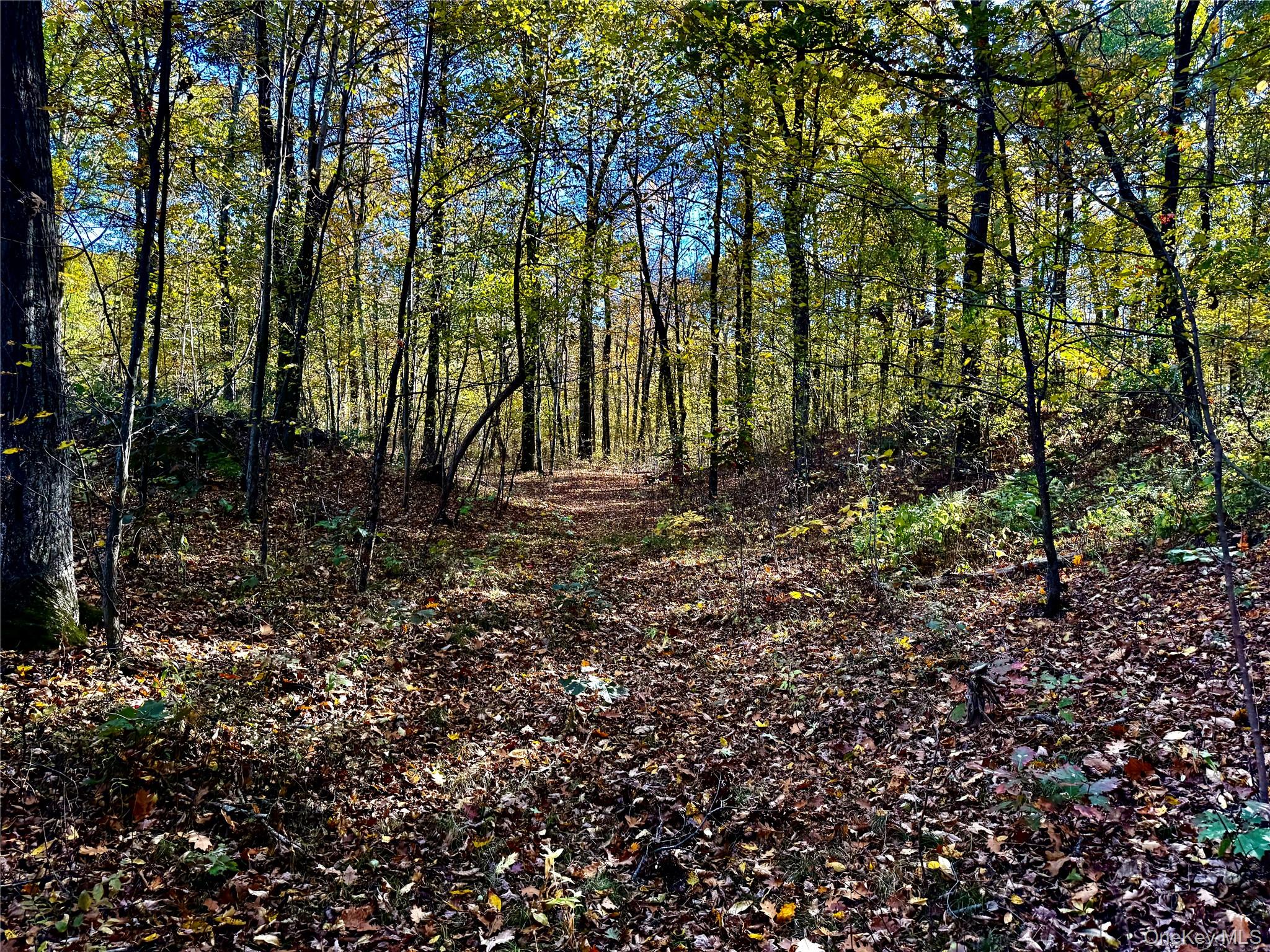 36 Fallkill Road Hyde Park, NY 12538 - Photo 6 of 15 a view of backyard with green space