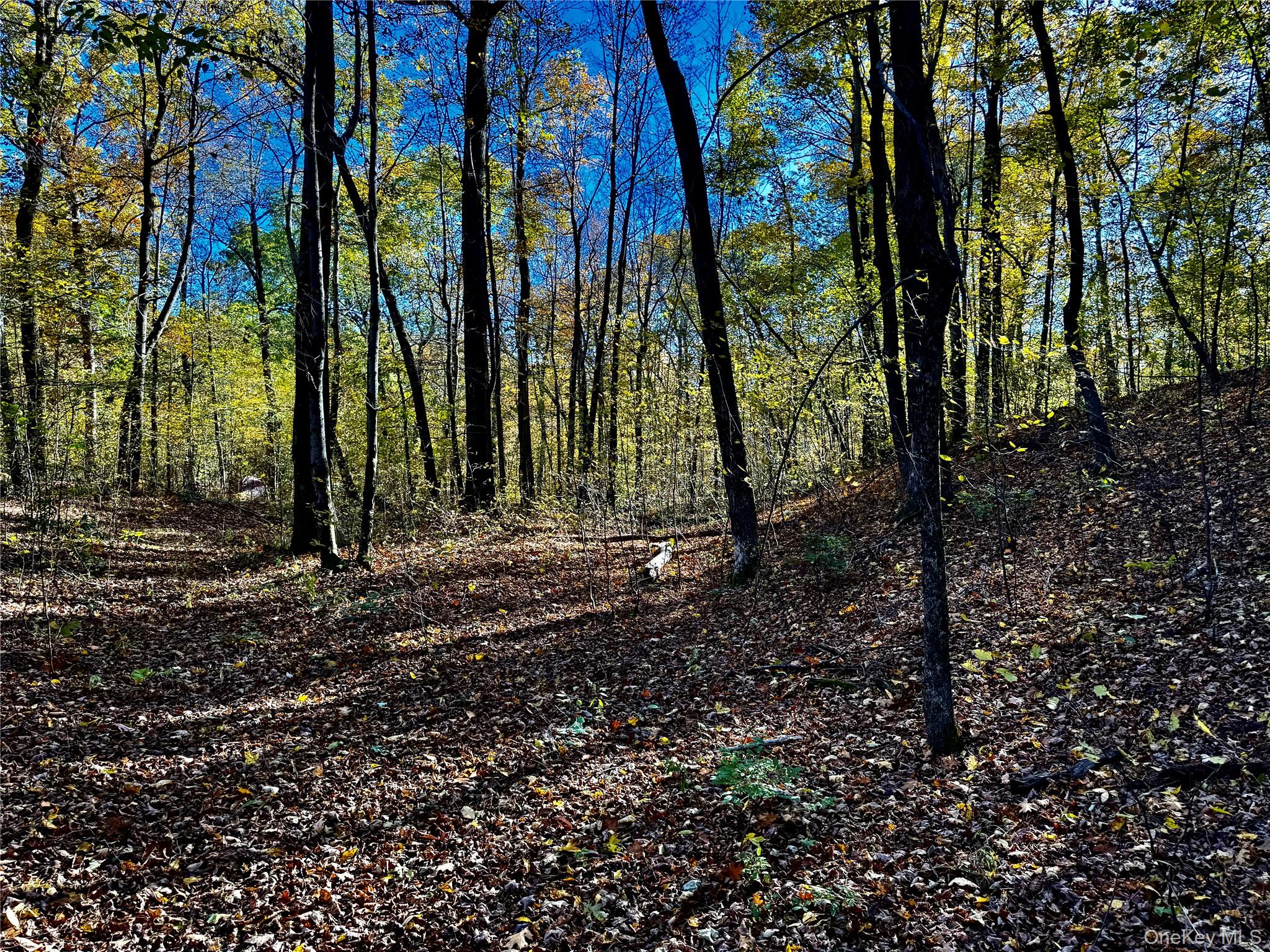 36 Fallkill Road Hyde Park, NY 12538 - Photo 7 of 15 a view of backyard