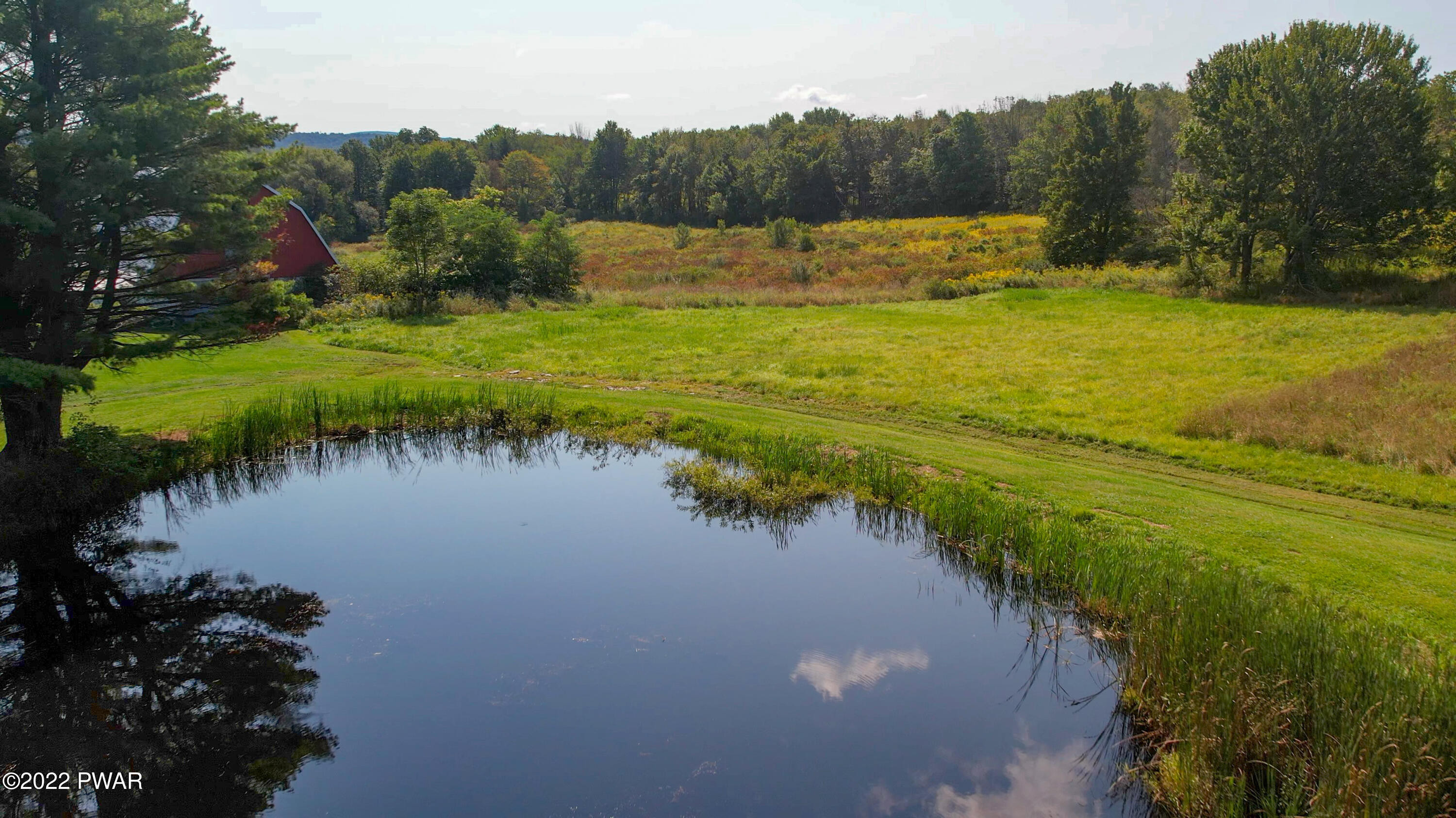 313 Creamery Road Jermyn, PA 18433 - Photo 53 of 62 Private Pond