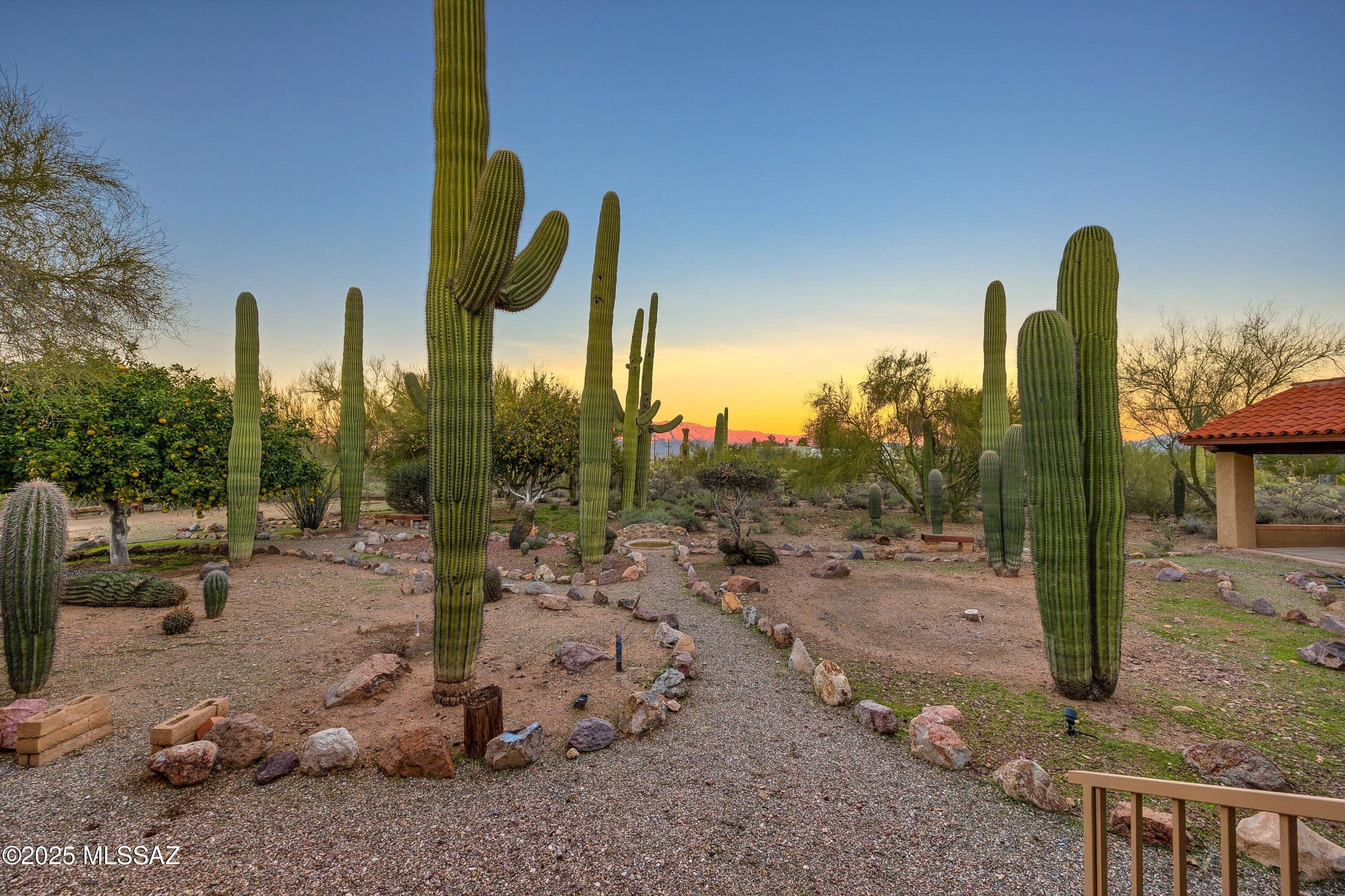 2614 North Grannen Road Tucson, AZ 85745 - Photo 33 of 49