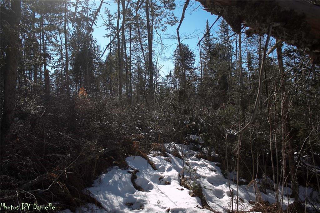 0 Ranch Road Troy, ME 04987 - Photo 9 of 33 Photo