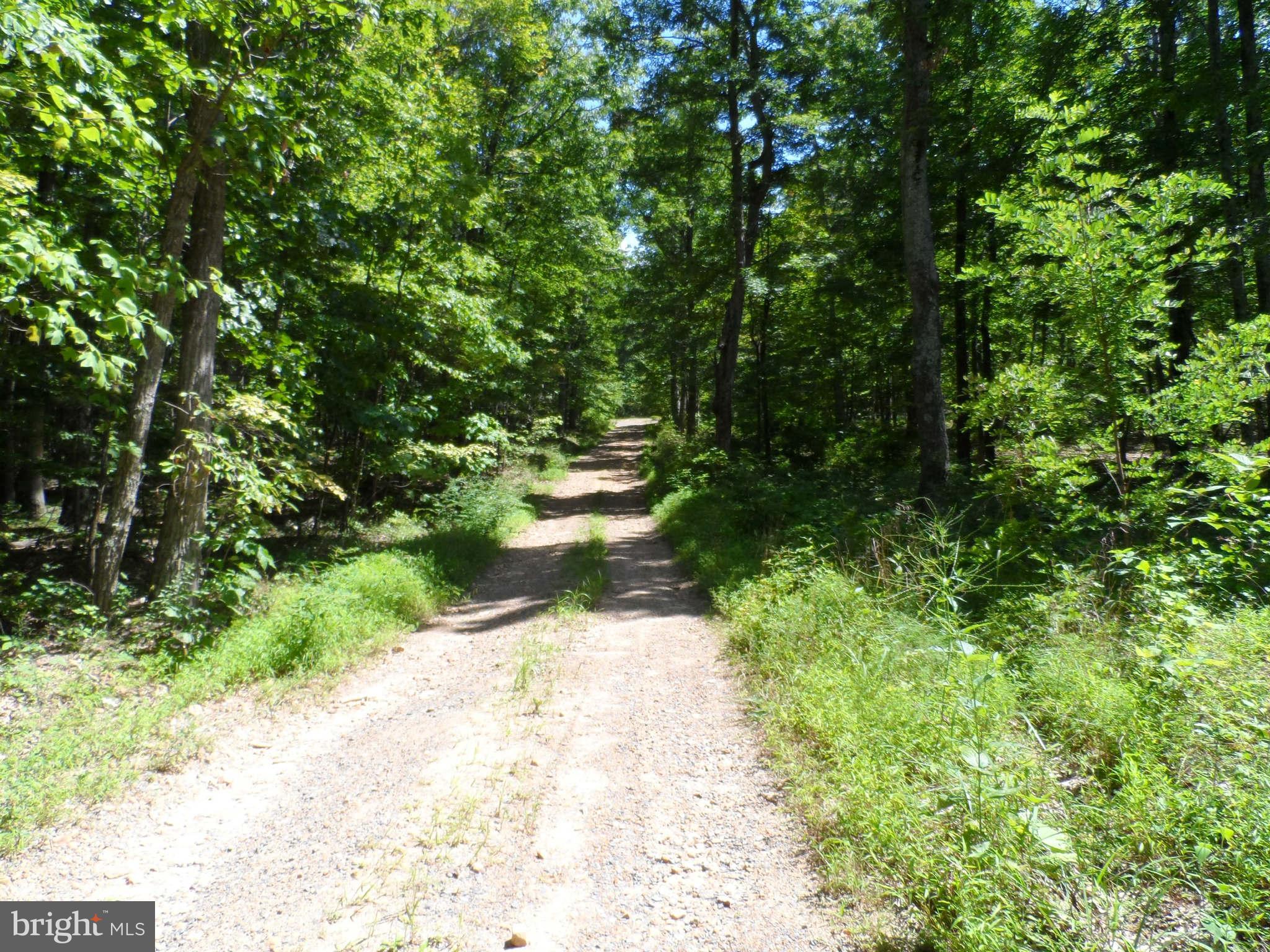 0 Hunters Road Gore, VA 22637 - Photo 1 of 8 Exterior (General)
