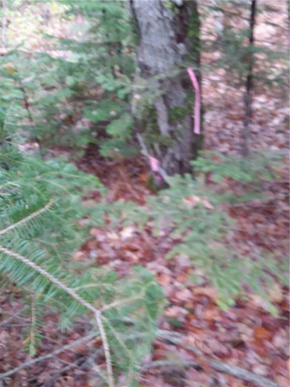 1320 Manktown Road Waldoboro, ME 04572 - Photo 3 of 5 Southwest corner stake at Rd.