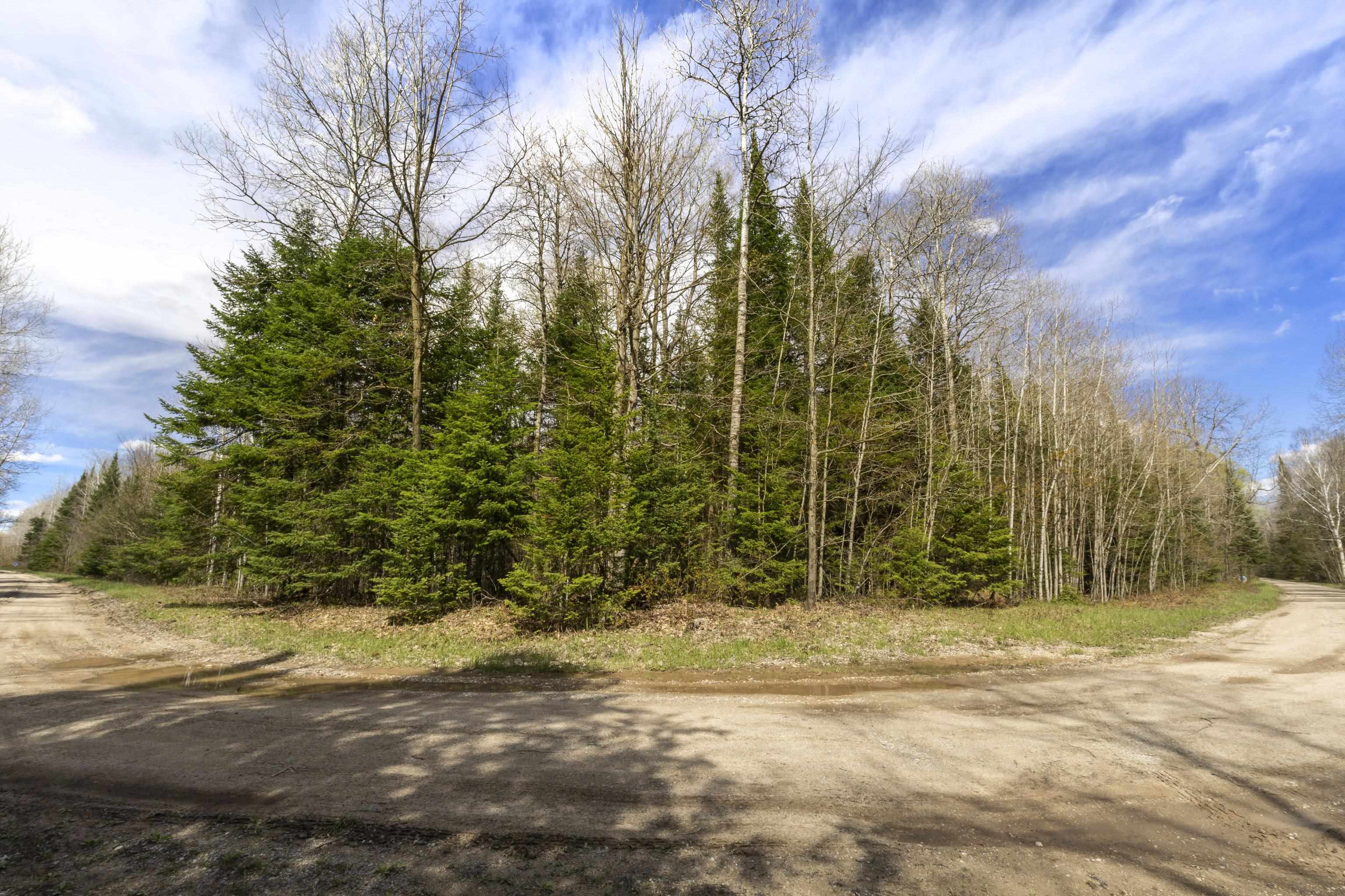 9491 Sands Road Buckley, MI 49620 - Photo 10 of 12
