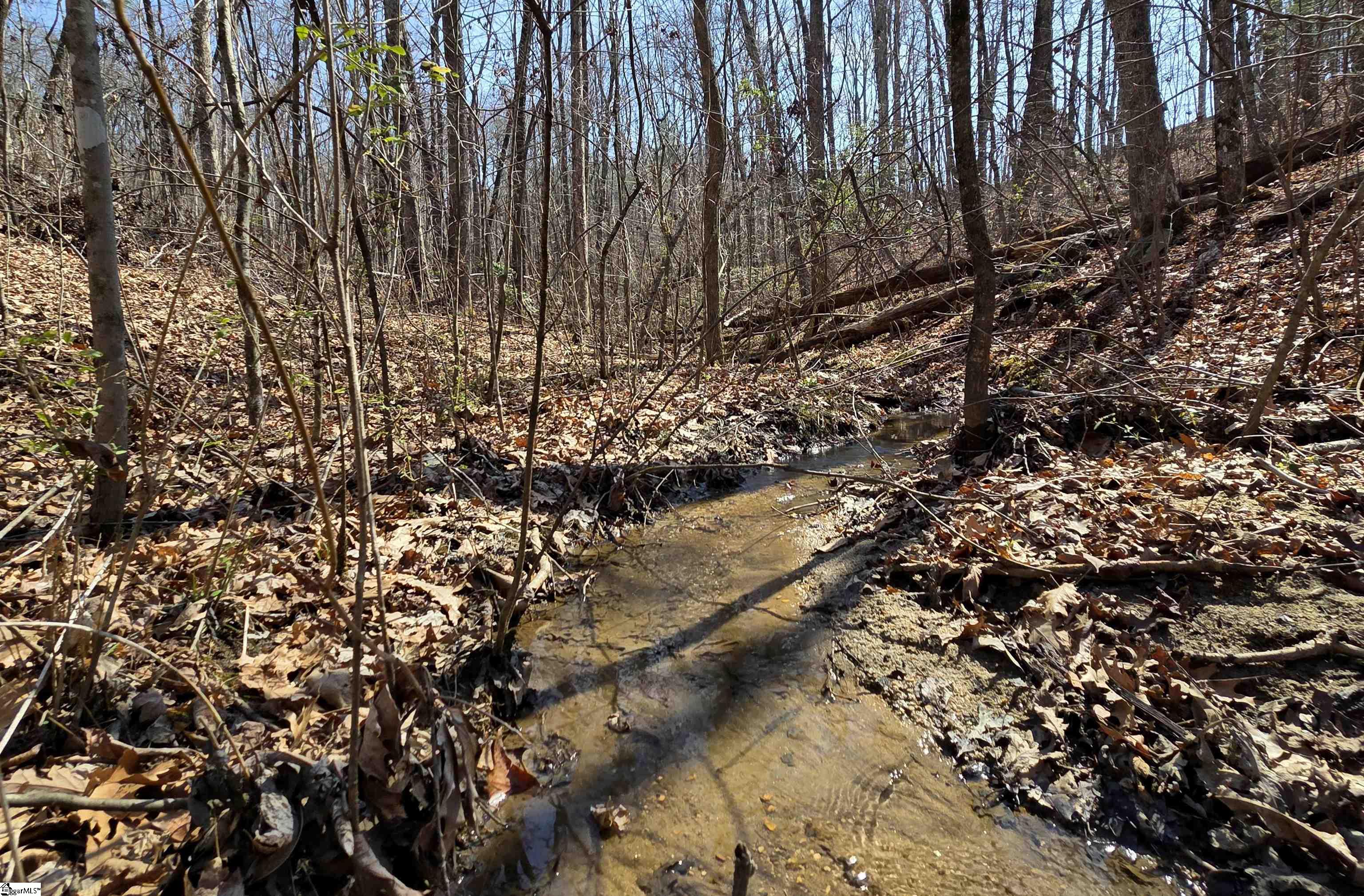 0 Alsace Way Travelers Rest, SC 29690 - Photo 11 of 16