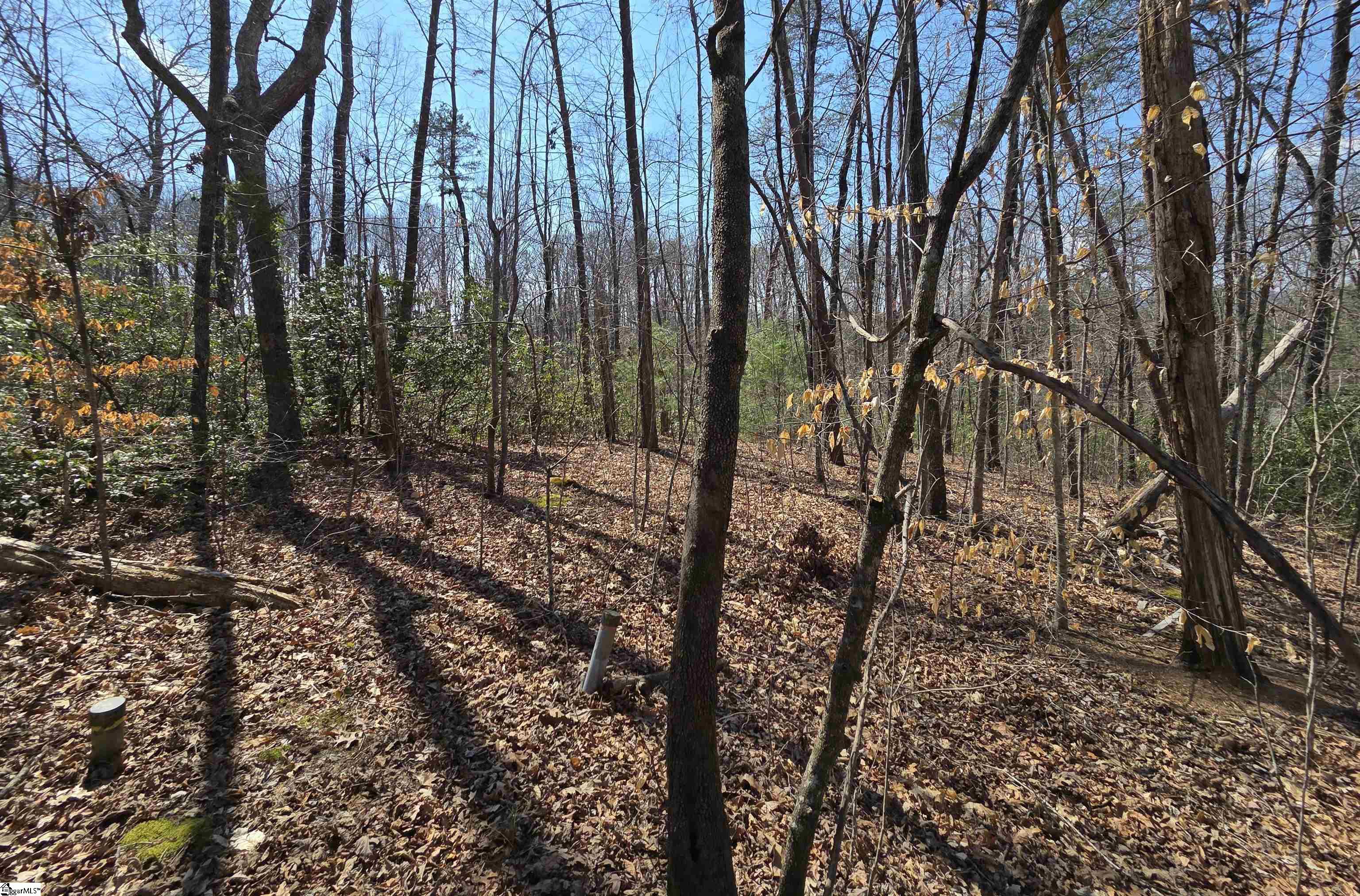 0 Alsace Way Travelers Rest, SC 29690 - Photo 12 of 16