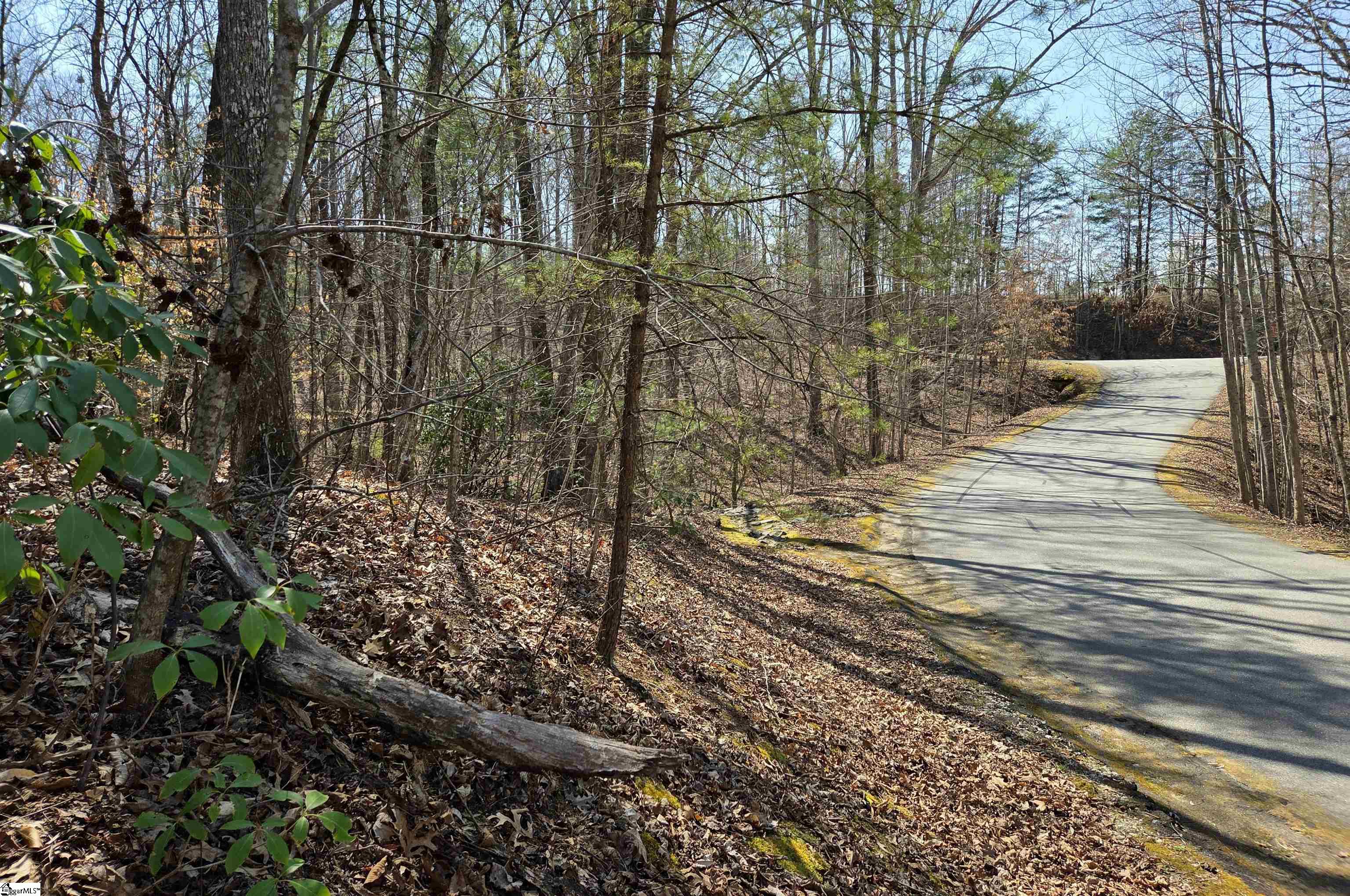 0 Alsace Way Travelers Rest, SC 29690 - Photo 13 of 16