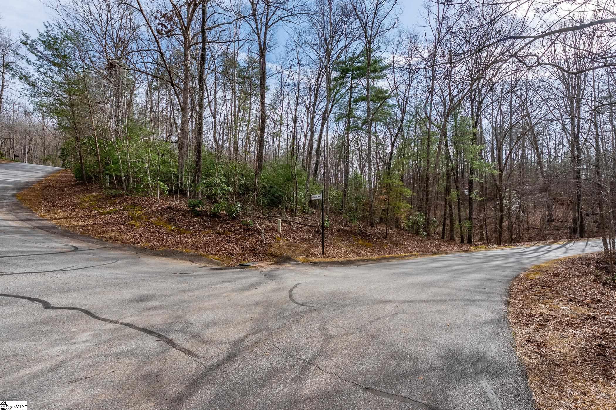 0 Alsace Way Travelers Rest, SC 29690 - Photo 14 of 16 Corner of Luberon & Alsace