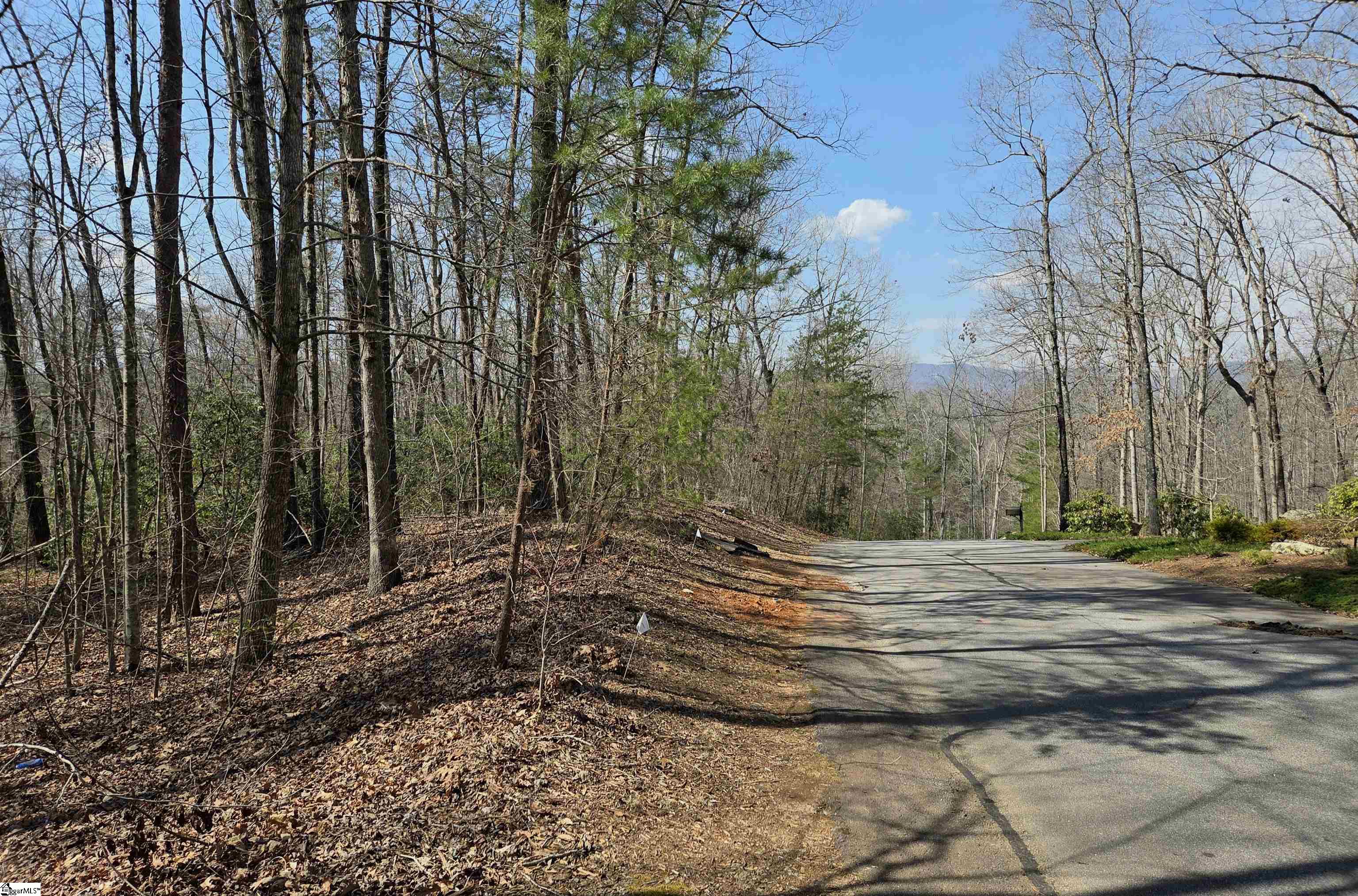 0 Alsace Way Travelers Rest, SC 29690 - Photo 2 of 16