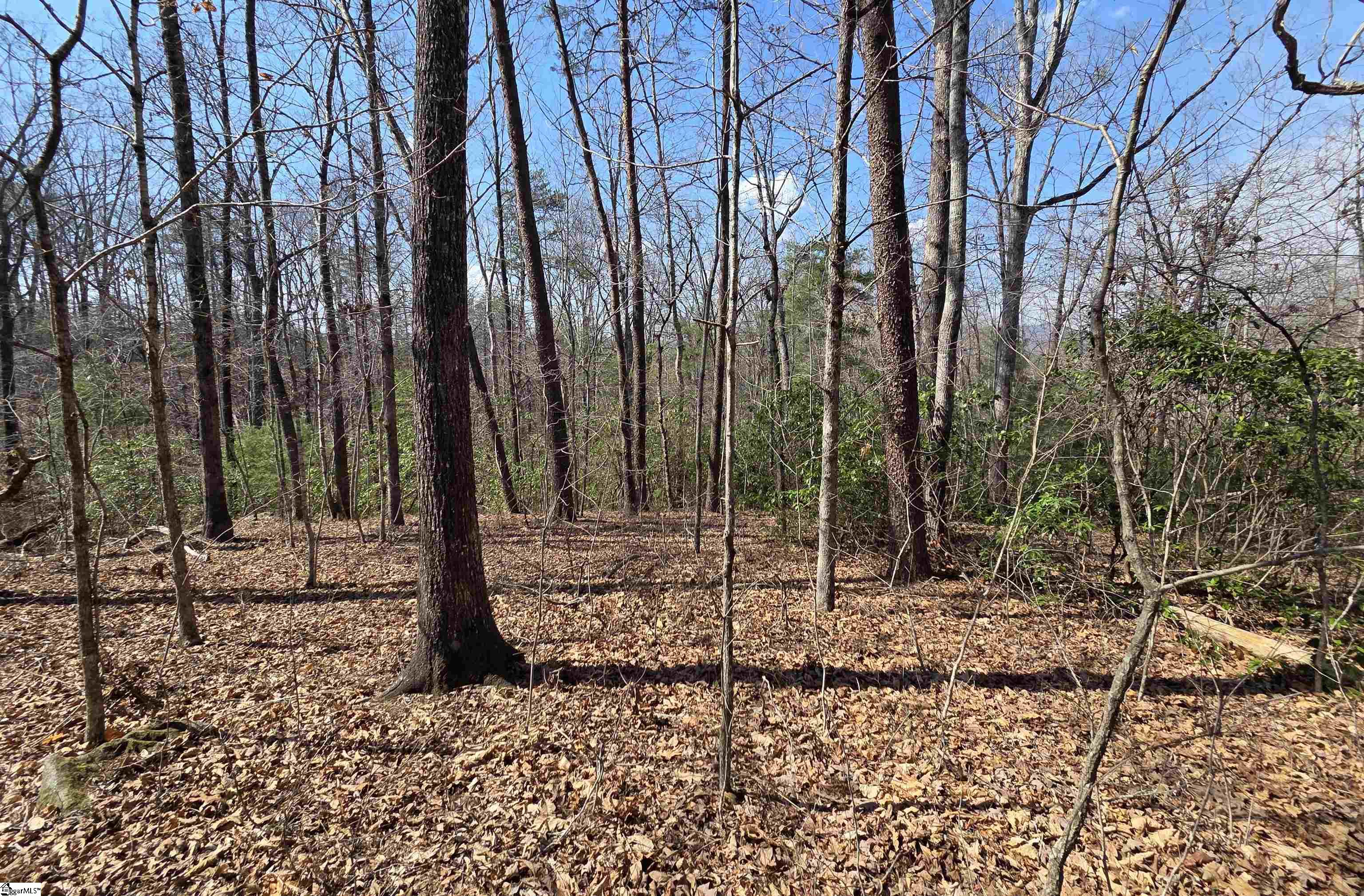 0 Alsace Way Travelers Rest, SC 29690 - Photo 3 of 16