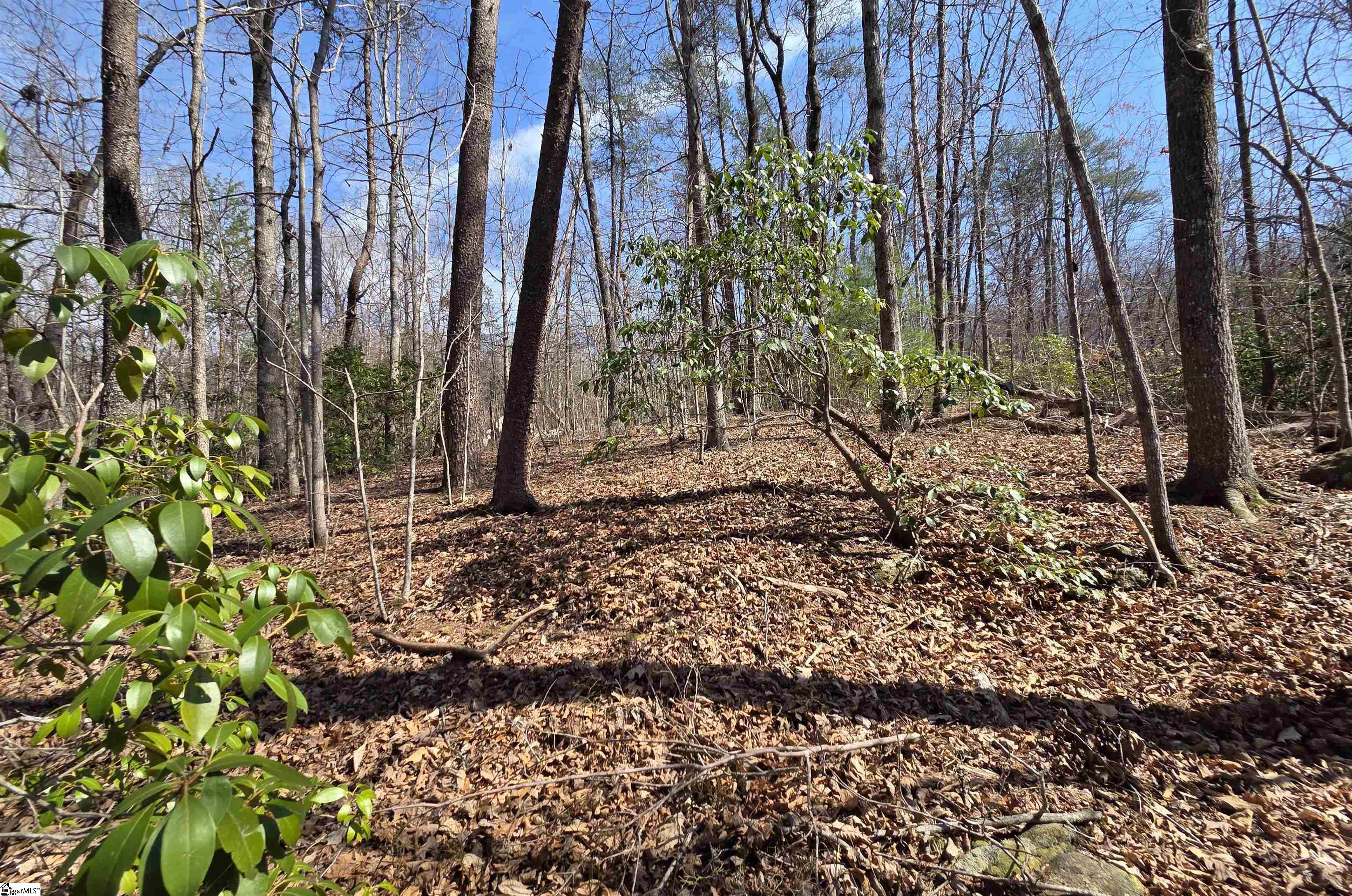 0 Alsace Way Travelers Rest, SC 29690 - Photo 4 of 16