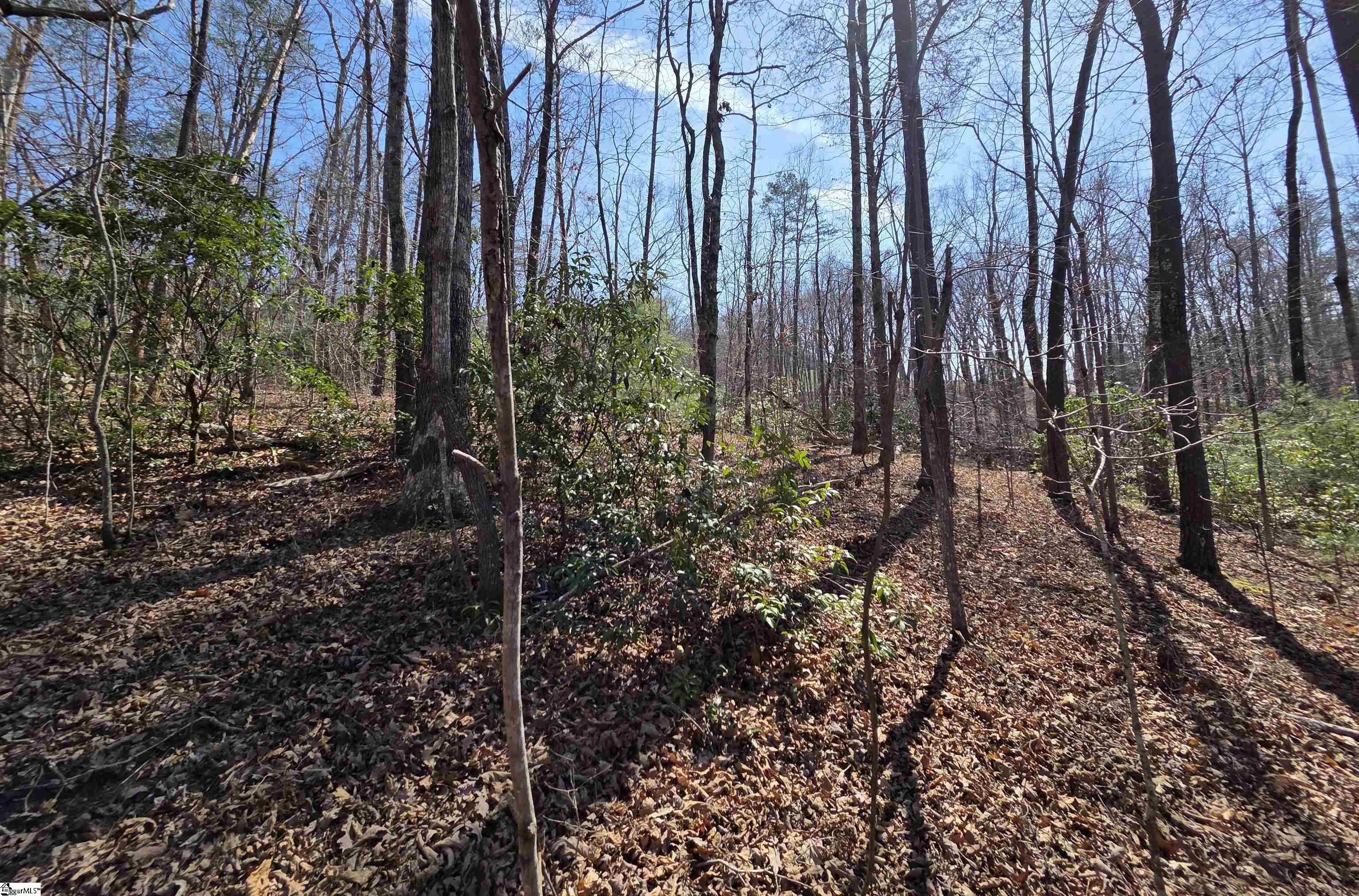 0 Alsace Way Travelers Rest, SC 29690 - Photo 5 of 16