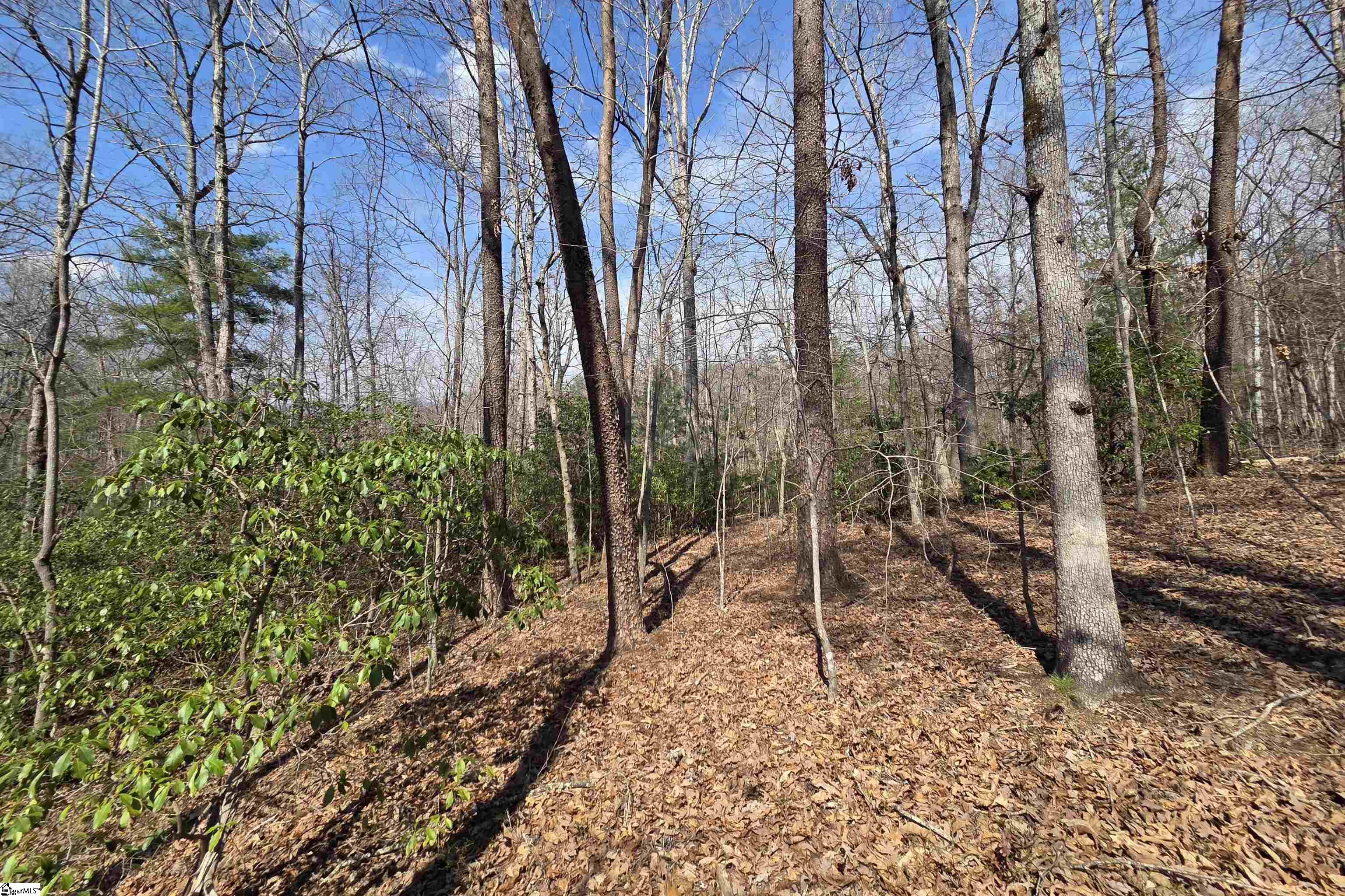 0 Alsace Way Travelers Rest, SC 29690 - Photo 6 of 16