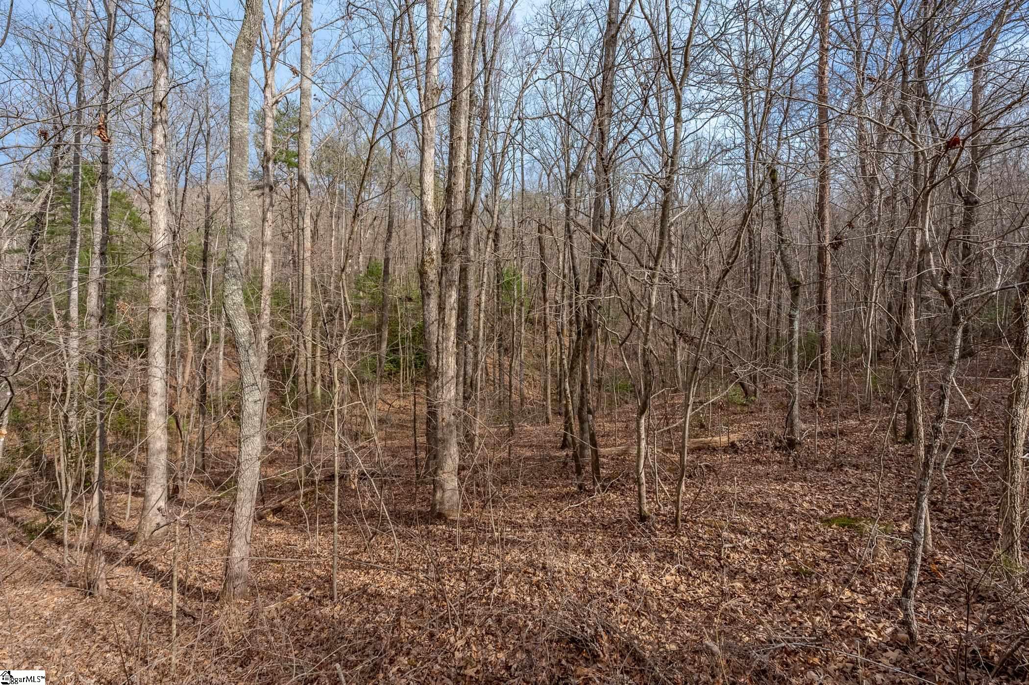 0 Alsace Way Travelers Rest, SC 29690 - Photo 7 of 16