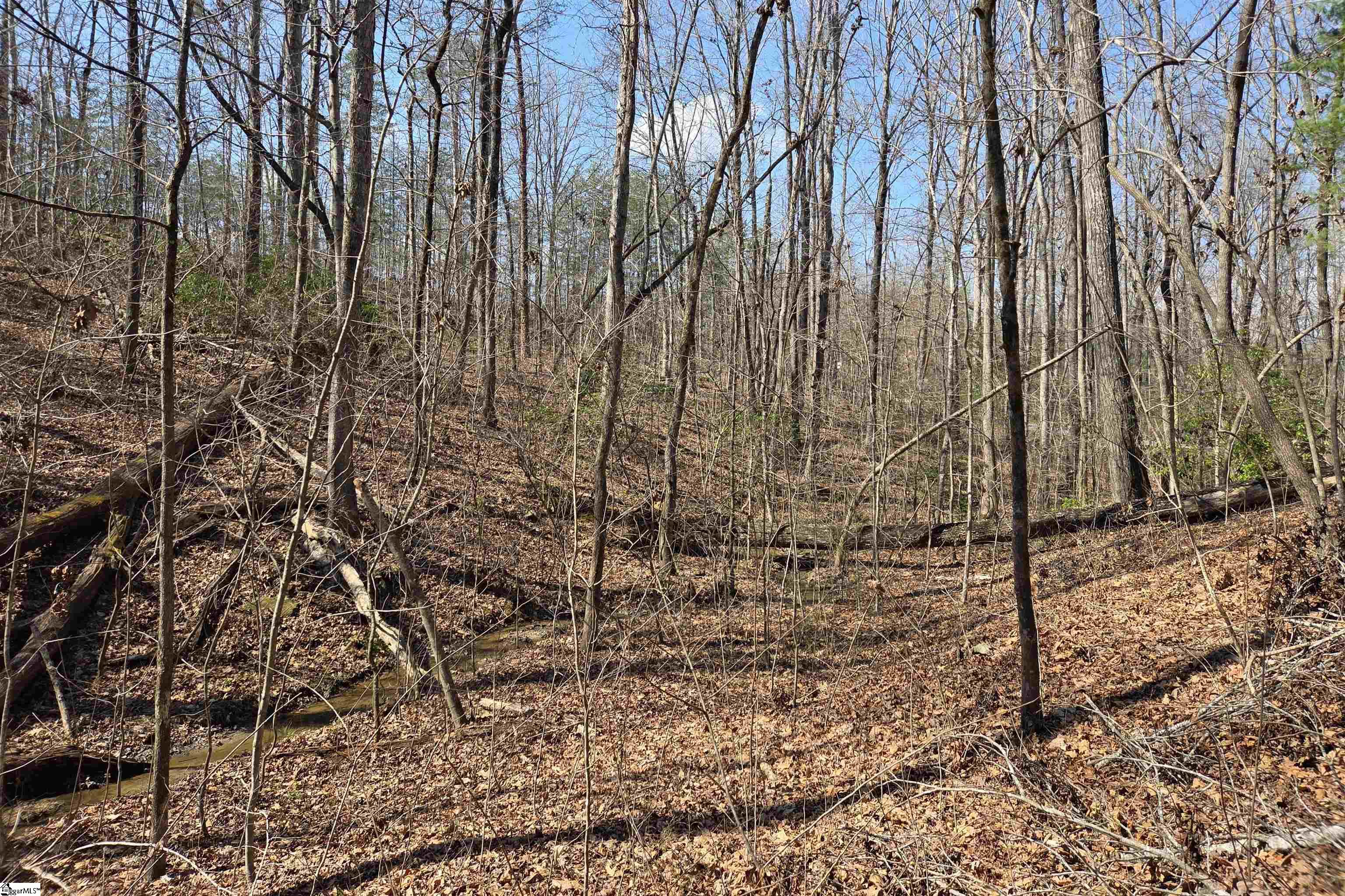 0 Alsace Way Travelers Rest, SC 29690 - Photo 8 of 16