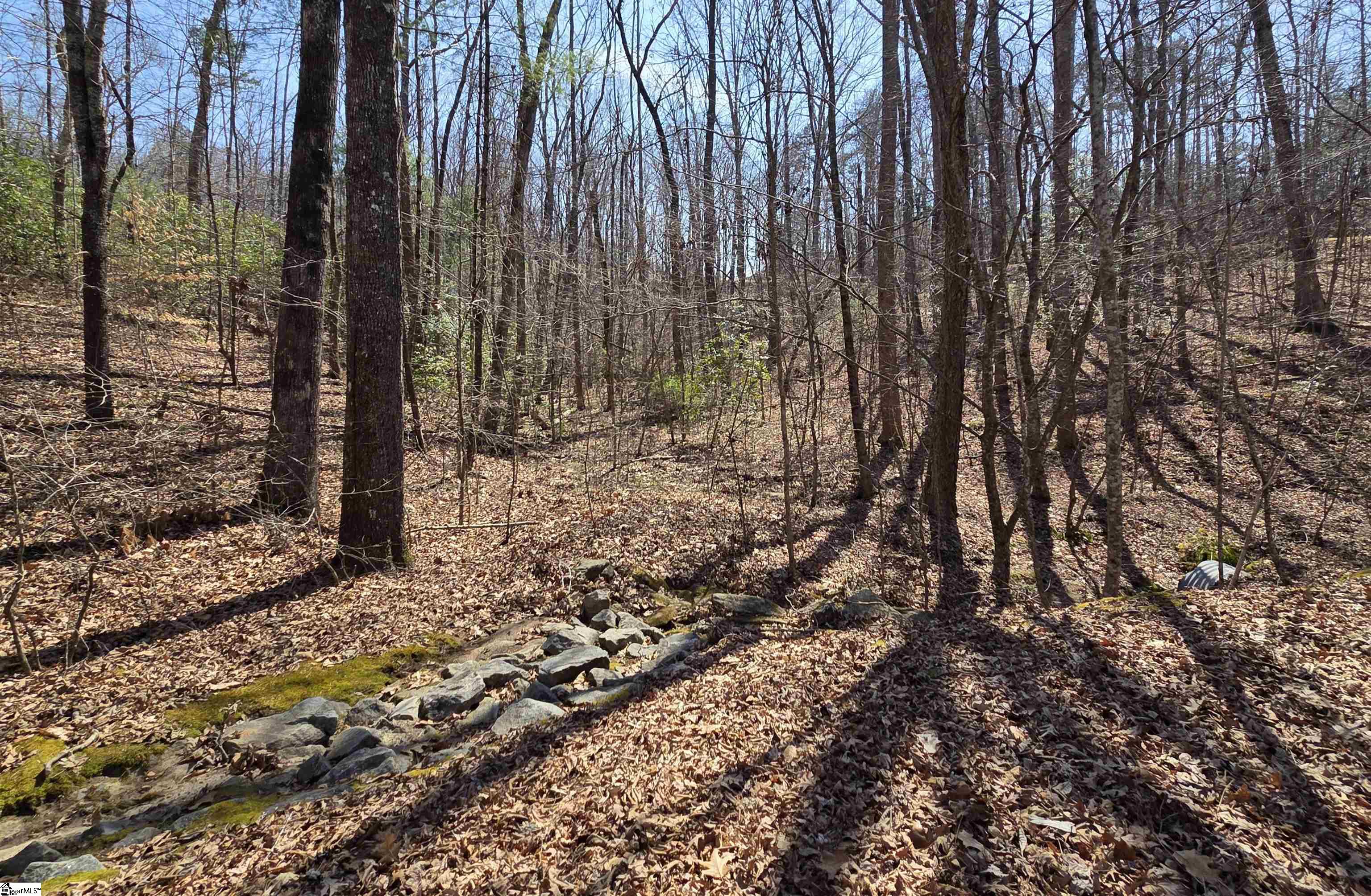 0 Alsace Way Travelers Rest, SC 29690 - Photo 9 of 16