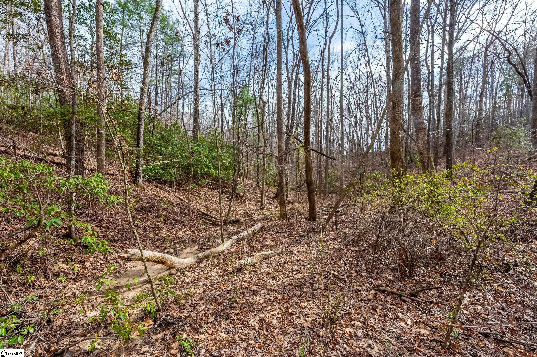 0 Alsace Way Travelers Rest, SC 29690 - Photo 10 of 16