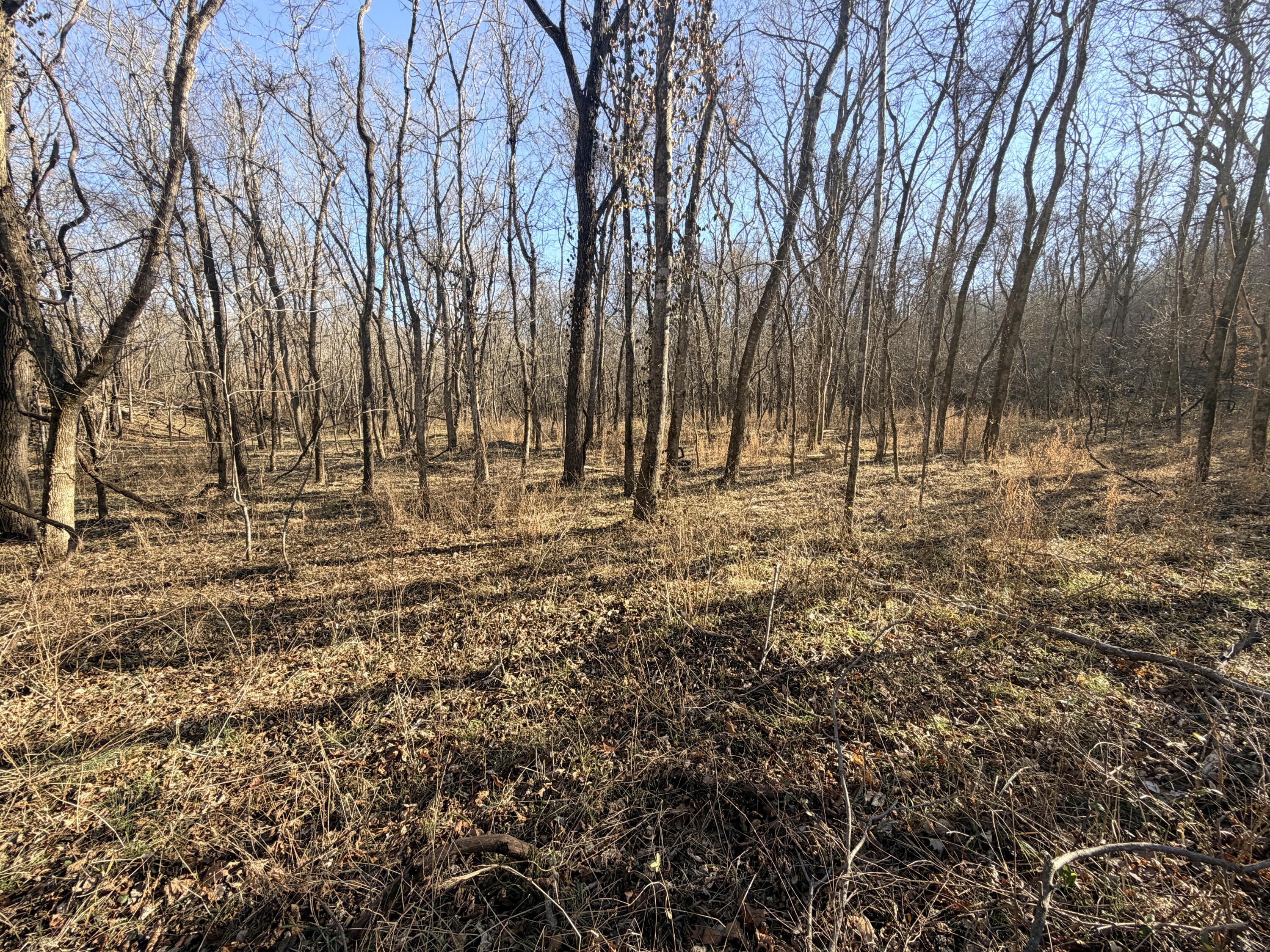 36-ac Hagee Road Anderson, MO 64831 - Photo 11 of 14 WestSide4