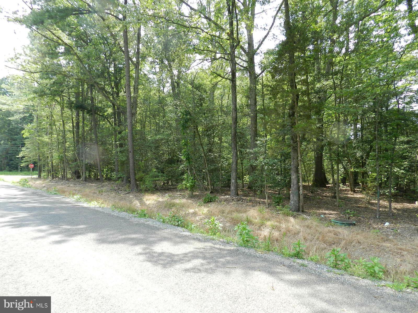 Placid Point Road Colonial Beach, VA 22443 - Photo 1 of 4 View