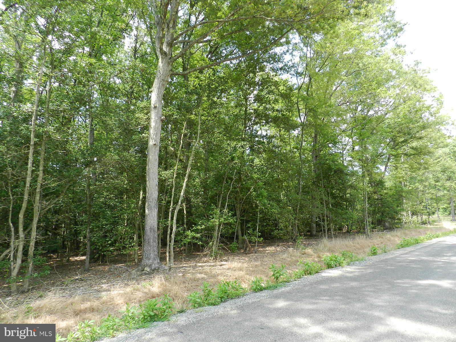 Placid Point Road Colonial Beach, VA 22443 - Photo 2 of 4 View