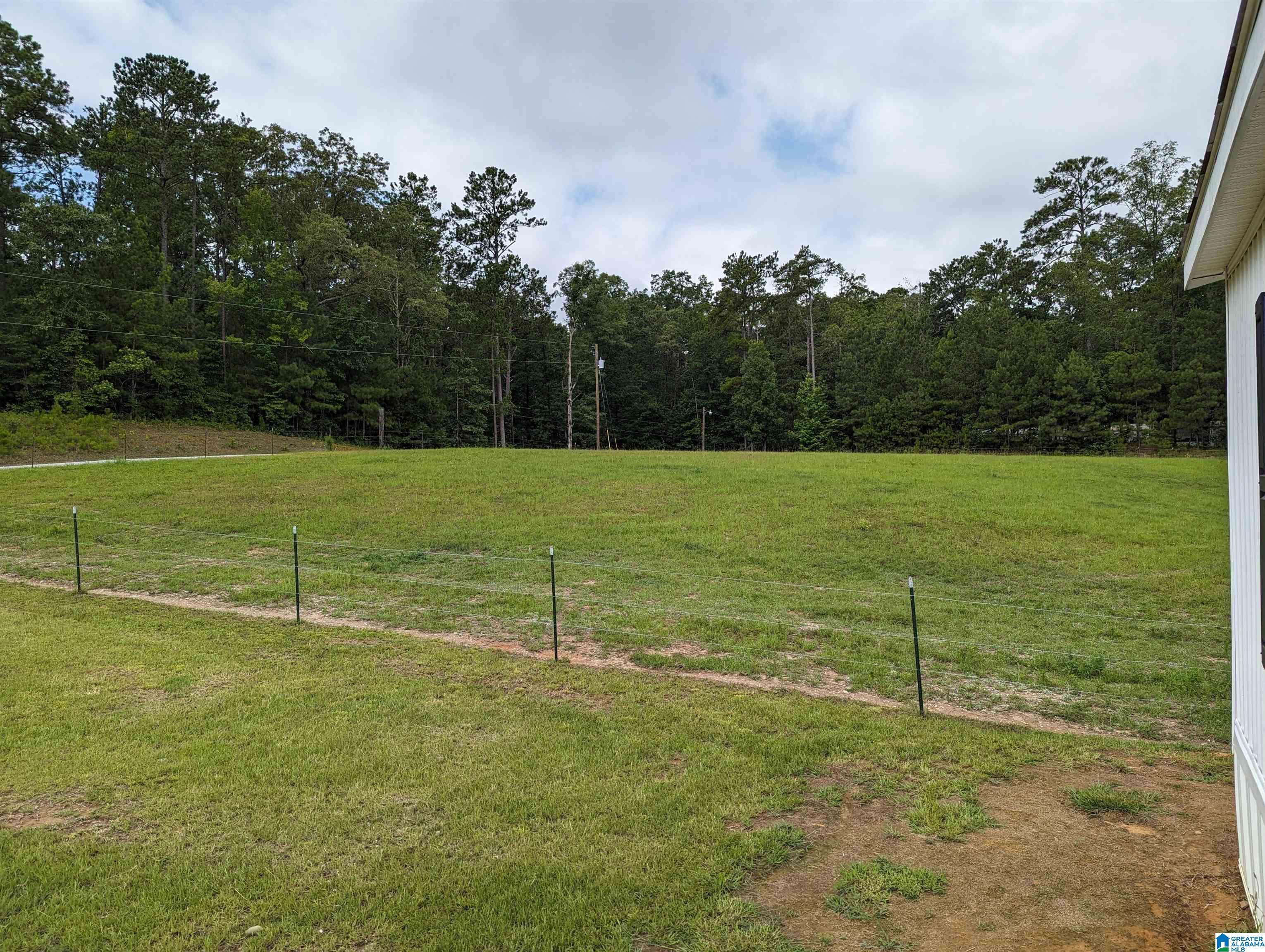 239 County Road 835 Clanton, AL 35046 - Photo 40 of 55