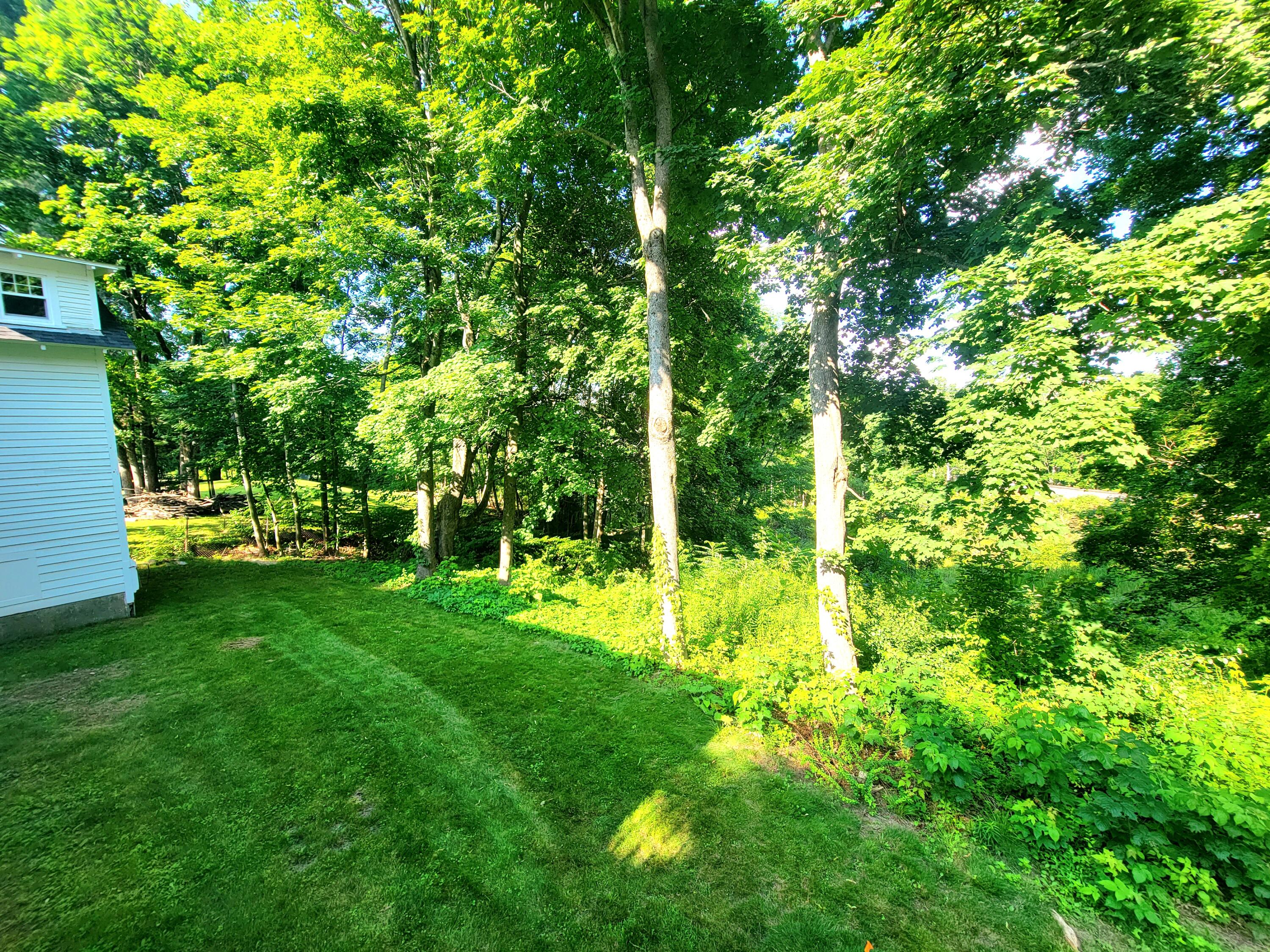 12 Riverview Street Bangor, ME 04401 - Photo 7 of 52 Back yard