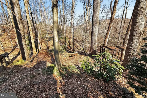 $685,000 | 7994 Hidden Bridge Drive, Springfield, VA 22153