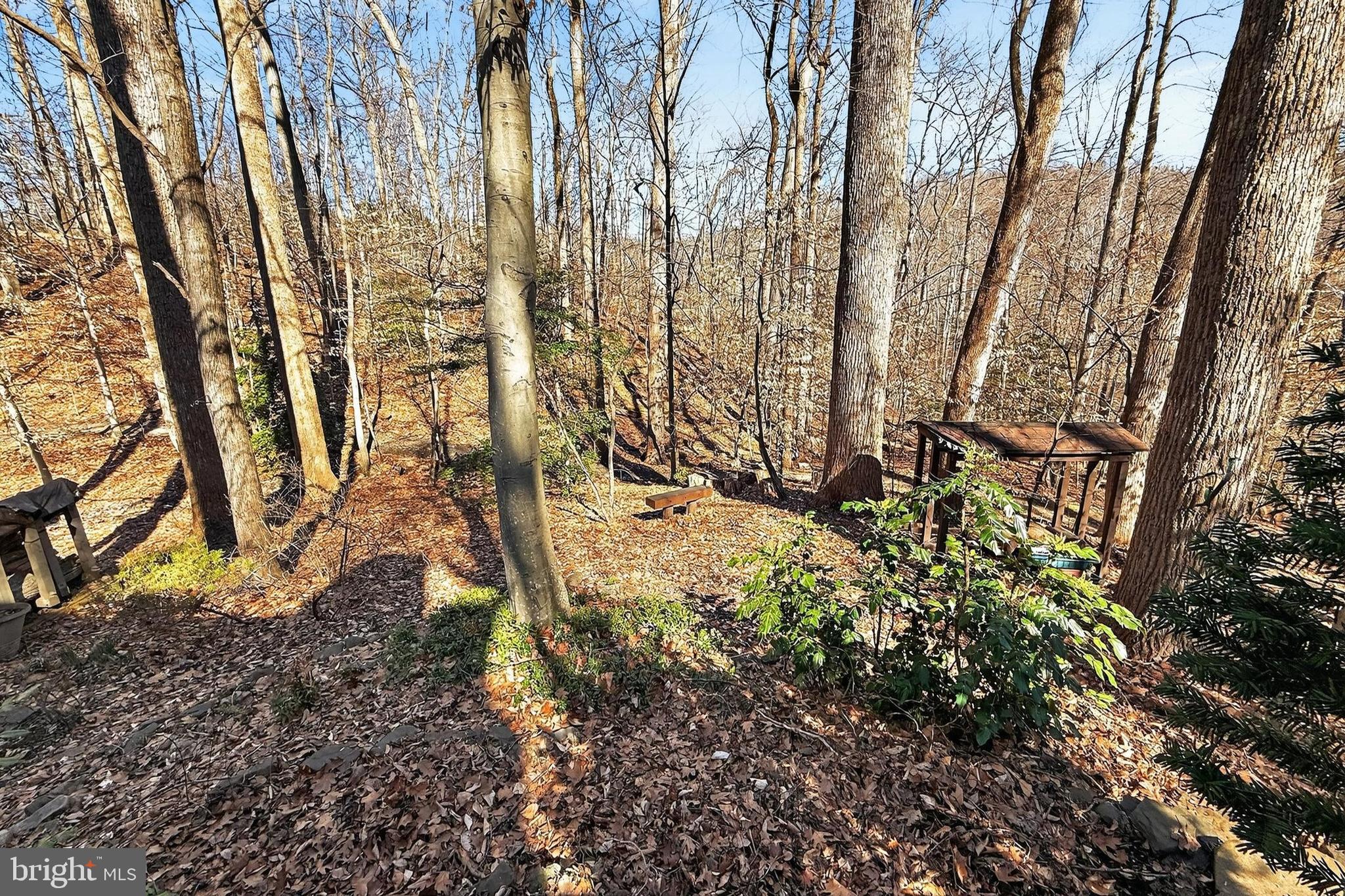 7994 Hidden Bridge Drive Springfield, VA 22153 - Photo 43 of 60