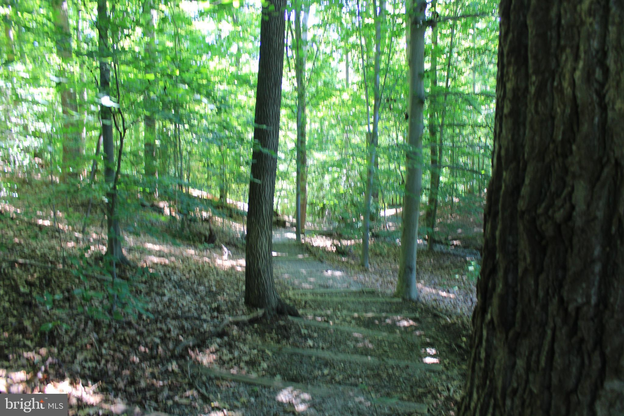 7994 Hidden Bridge Drive Springfield, VA 22153 - Photo 50 of 60 Trail picture