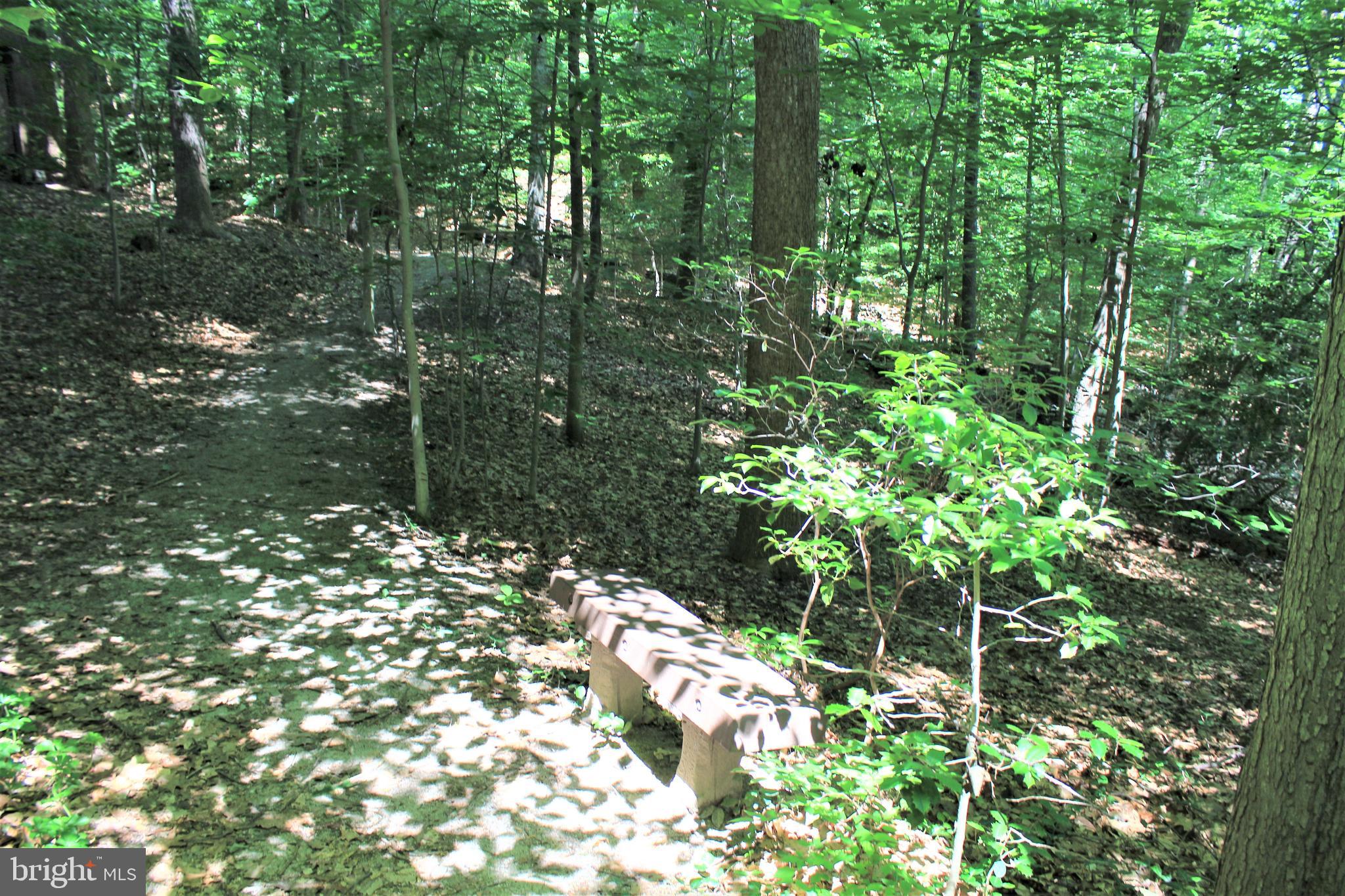 7994 Hidden Bridge Drive Springfield, VA 22153 - Photo 51 of 60