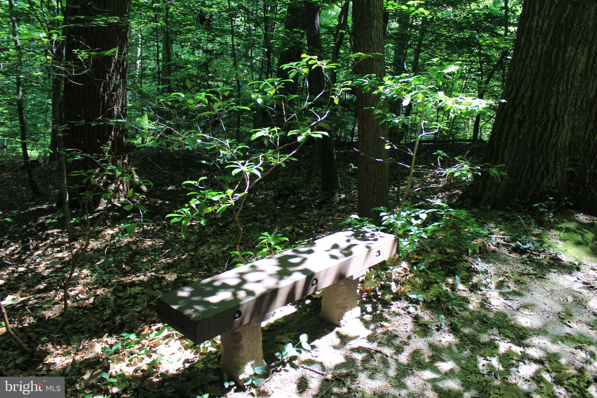 7994 Hidden Bridge Drive Springfield, VA 22153 - Photo 52 of 60 Sit for a spell!