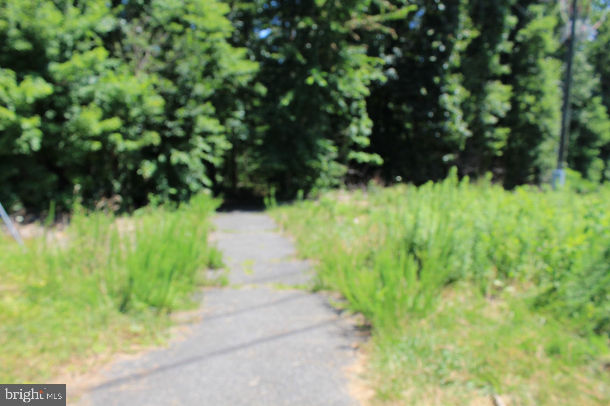 7994 Hidden Bridge Drive Springfield, VA 22153 - Photo 56 of 60