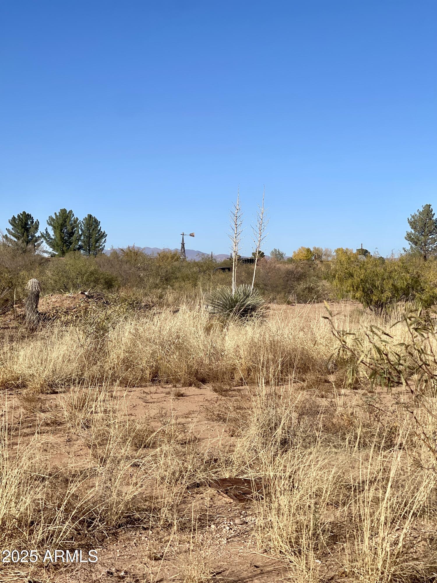 Tbd East 1st Street, Unit 1 Douglas, AZ 85607 - Photo 2 of 12 Image 2