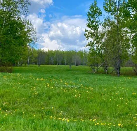 $50,000 | Lot 8 Clark Road, Patten, ME 04765