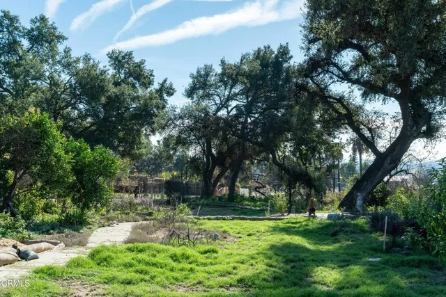 a view of backyard with green space
