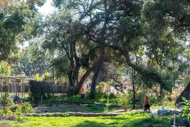 a view of backyard with green space