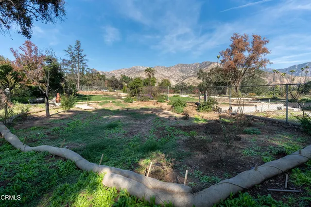 a view of a town with big trees