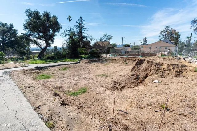 a view of a yard with a tree