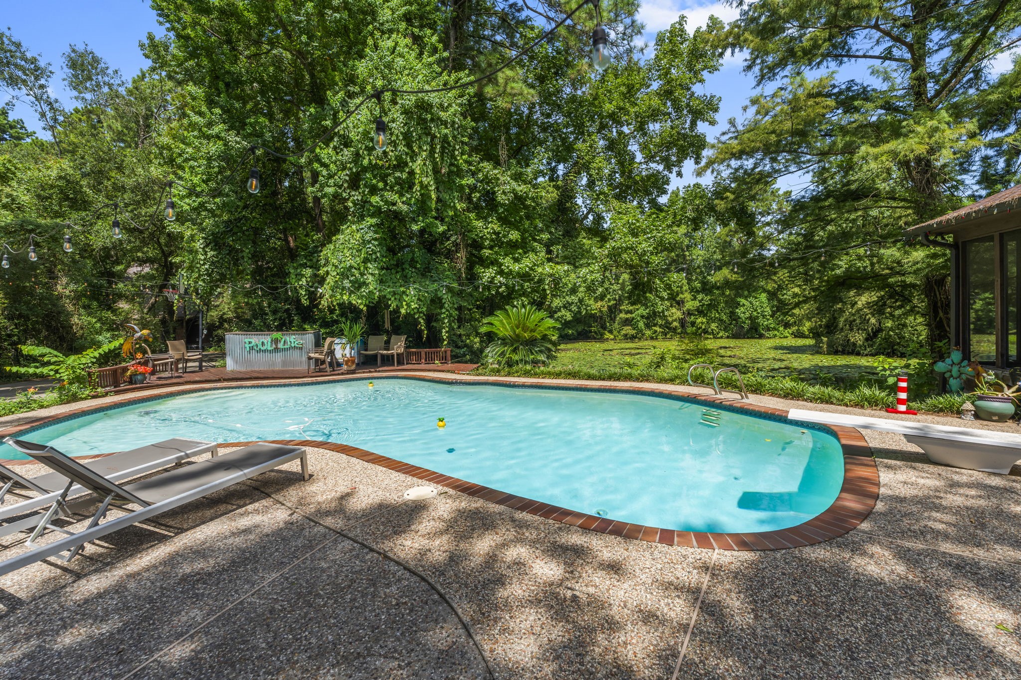 426 Nursery Road The Woodlands, TX 77380 - Photo 20 of 41 Diving board is a great fun feature!