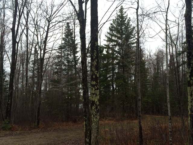 Lot 3-on Pfeifer Road Tomahawk, WI 54487 - Photo 3 of 7 Gallery Image 3