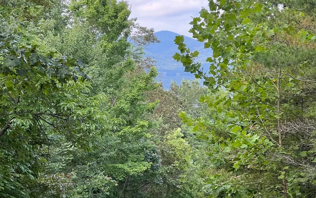 $20,000 | Lot 11 The Preserve At Beach Mountain, Warne, NC 28909