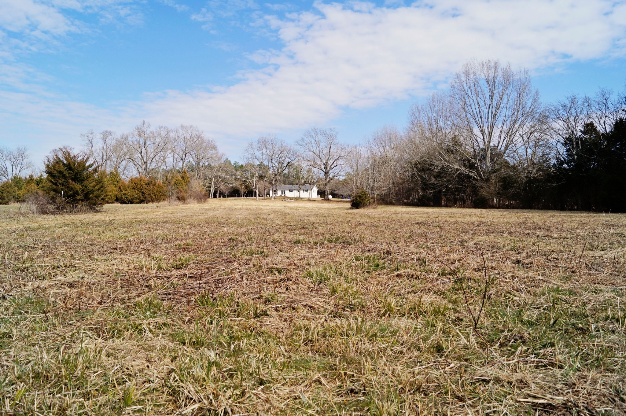 1087 Reese Road Lewisburg, TN 37091 - Photo 8 of 24 Gallery Image 8
