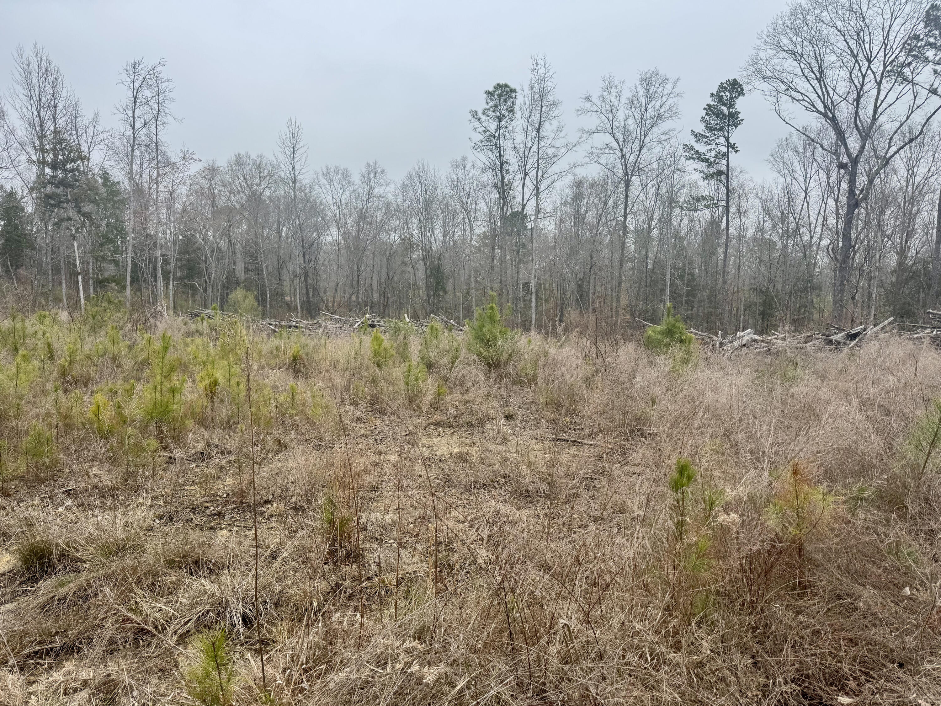 A3 Camp Creek Road, Unit PARCEL A3 Lancaster, SC 29720 - Photo 4 of 5
