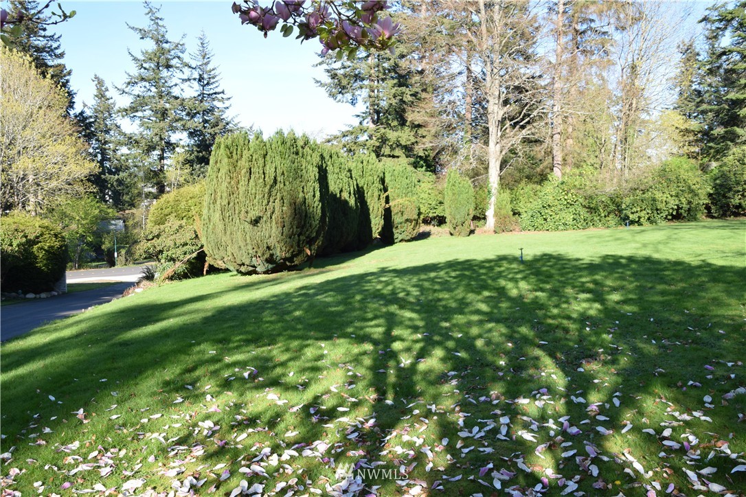 0 Hawthorn Road Bellingham, WA 98225 - Photo 11 of 22